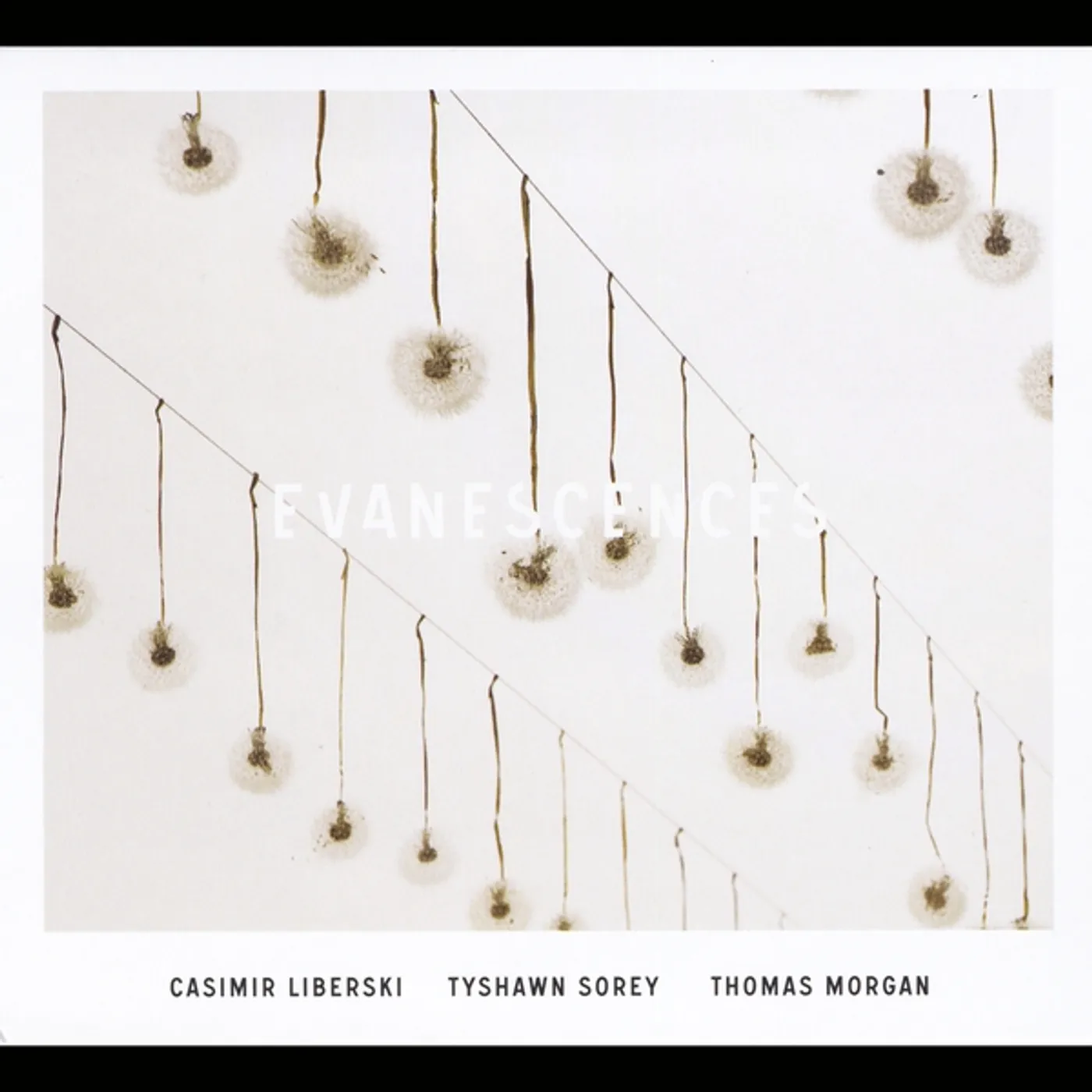Casimir Liberski EVANESCENCES CD