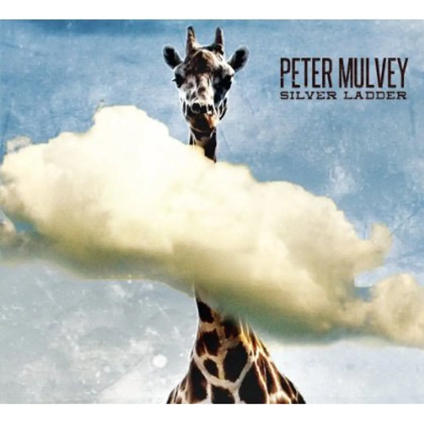 Peter Mulvey SILVER LADDER CD