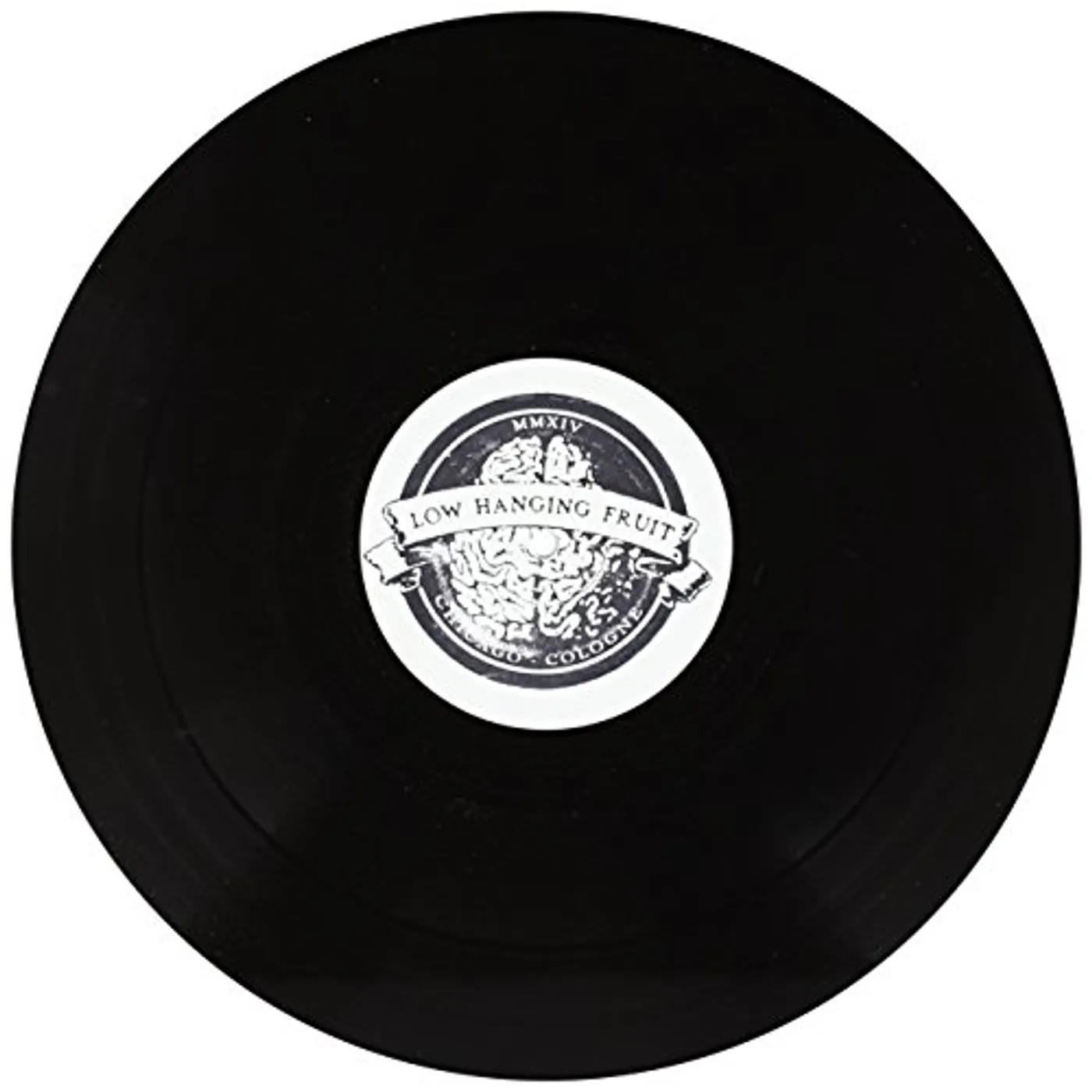 Camp Inc. National Geographic EP Vinyl Record