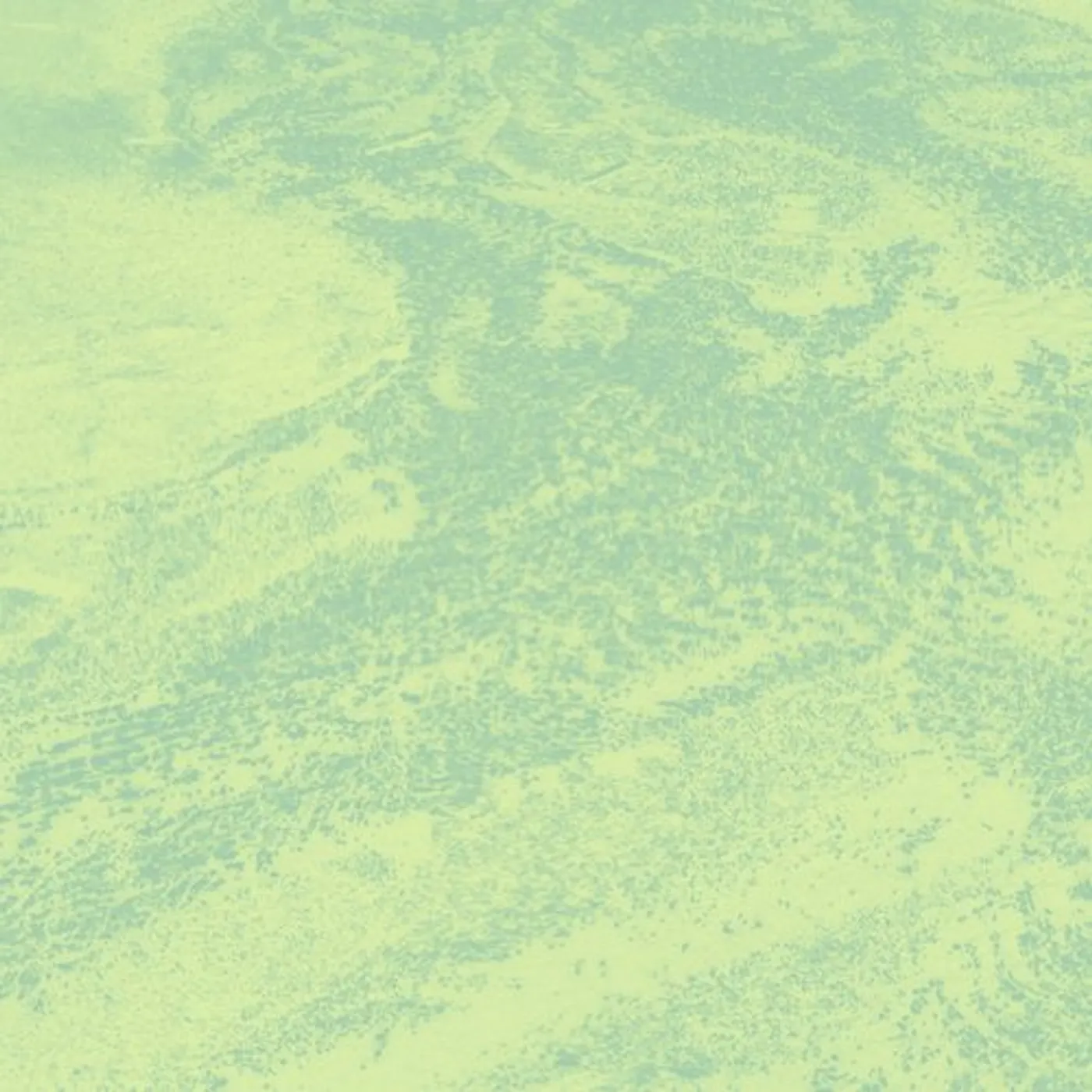 Brett Naucke Seed Vinyl Record