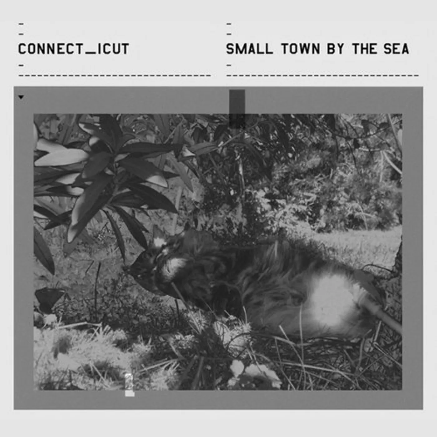 Connecticut SMALL TOWN BY THE SEA CD
