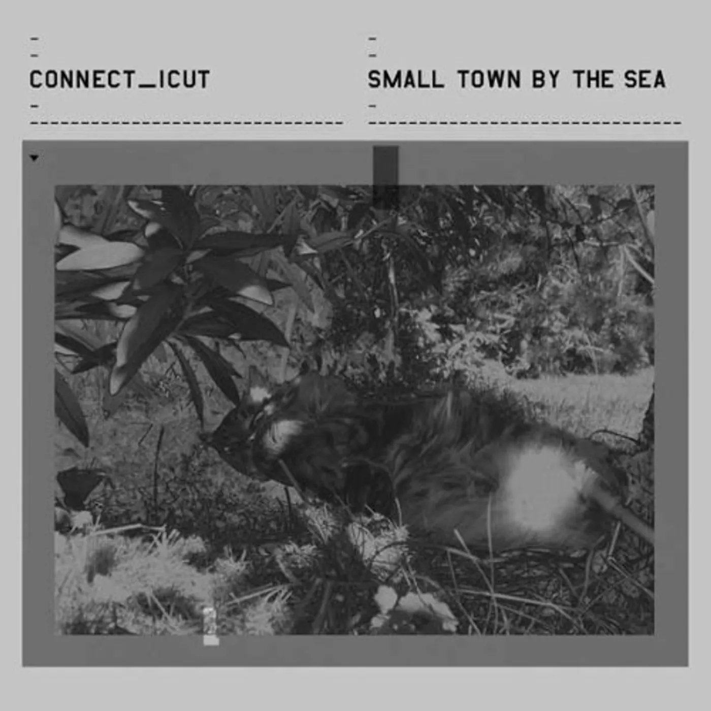 Connecticut SMALL TOWN BY THE SEA Vinyl Record