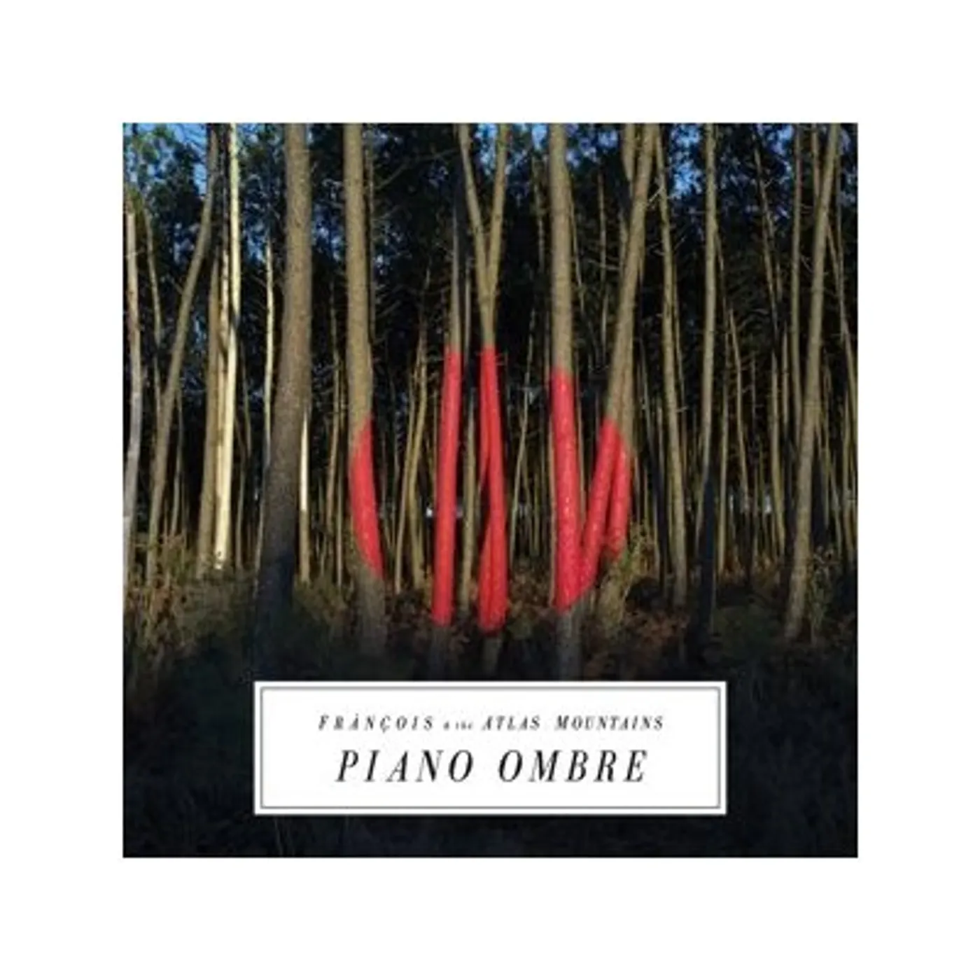 Frànçois & The Atlas Mountains 102839 PIANO OMBRE CD