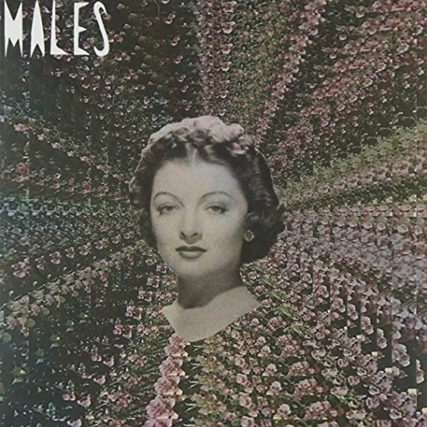 RUN RUN RUN/MALESMALESMALES CD