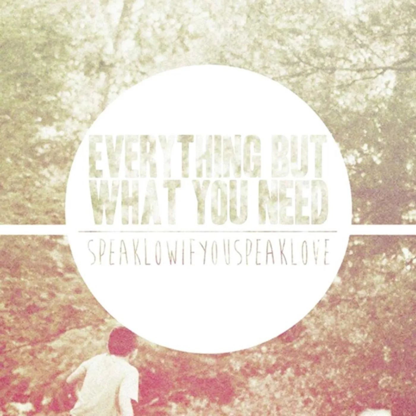 Speak Low If You Speak Love EVERYTHING BUT WHAT YOU NEED CD
