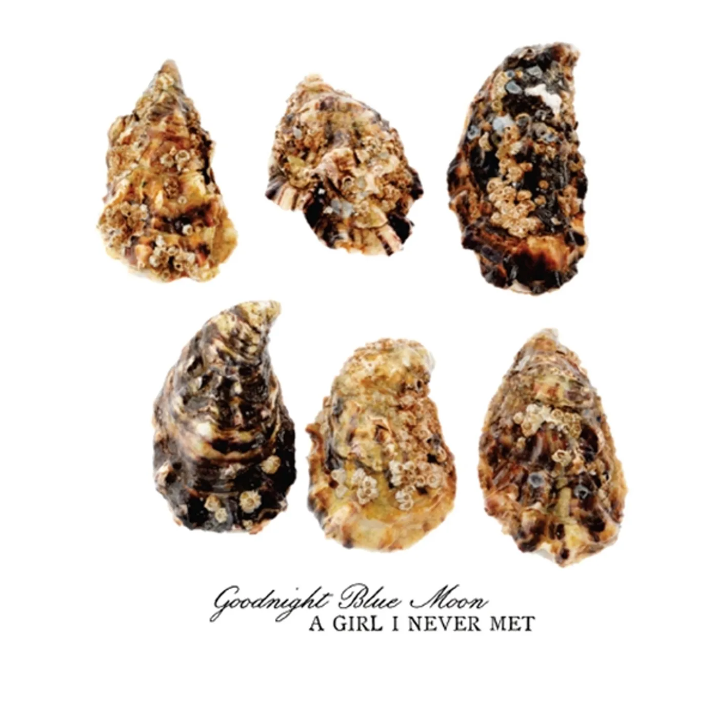 Goodnight Blue Moon GIRL I NEVER MET CD