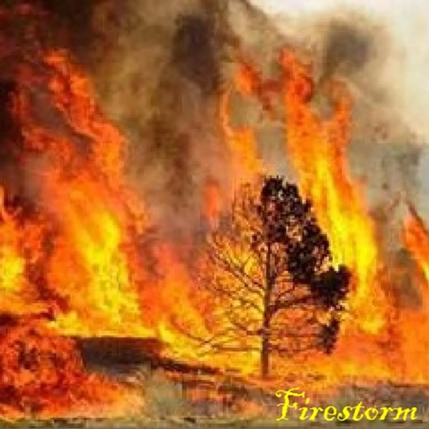 FIRESTORM CD