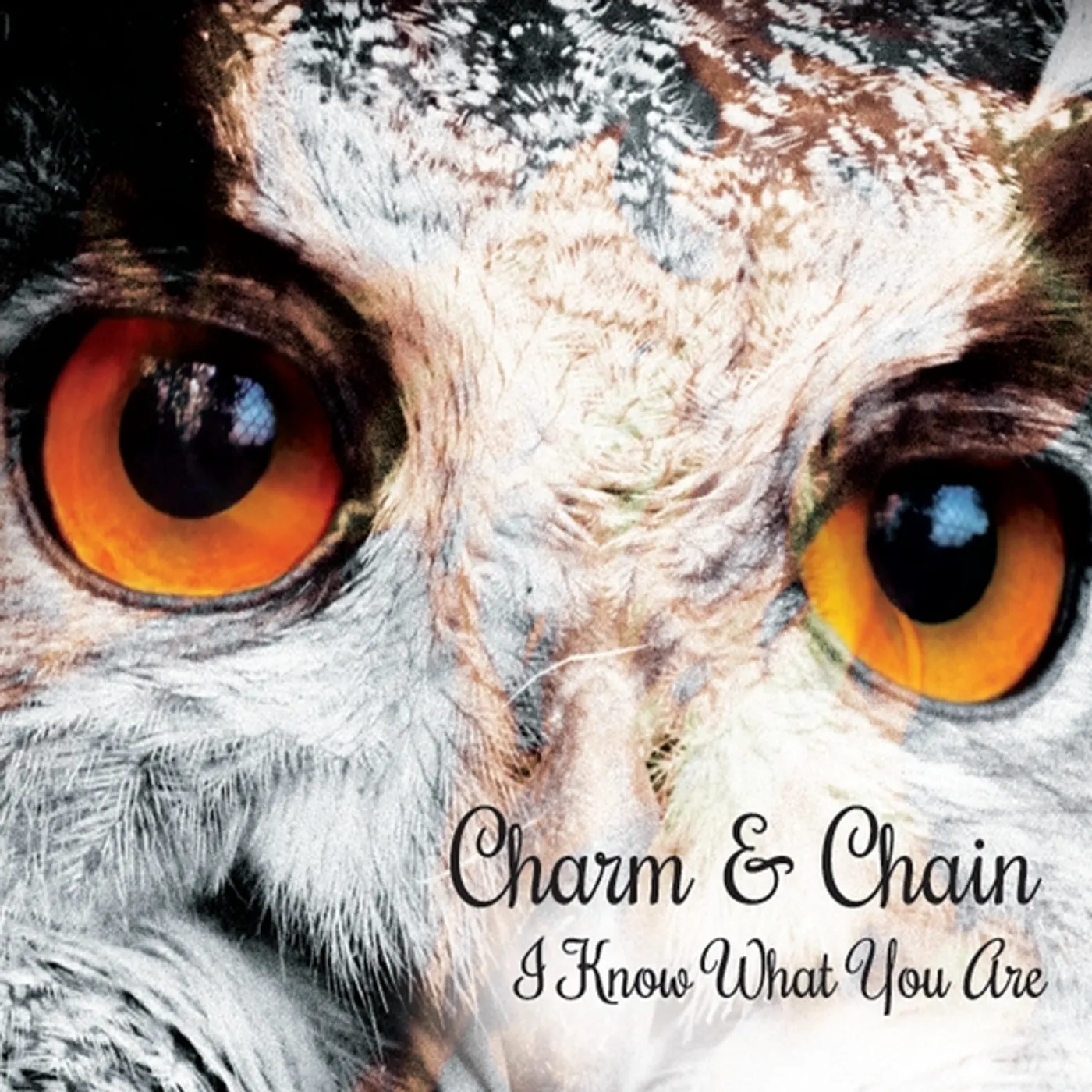 Charm & Chain I KNOW WHAT YOU ARE CD