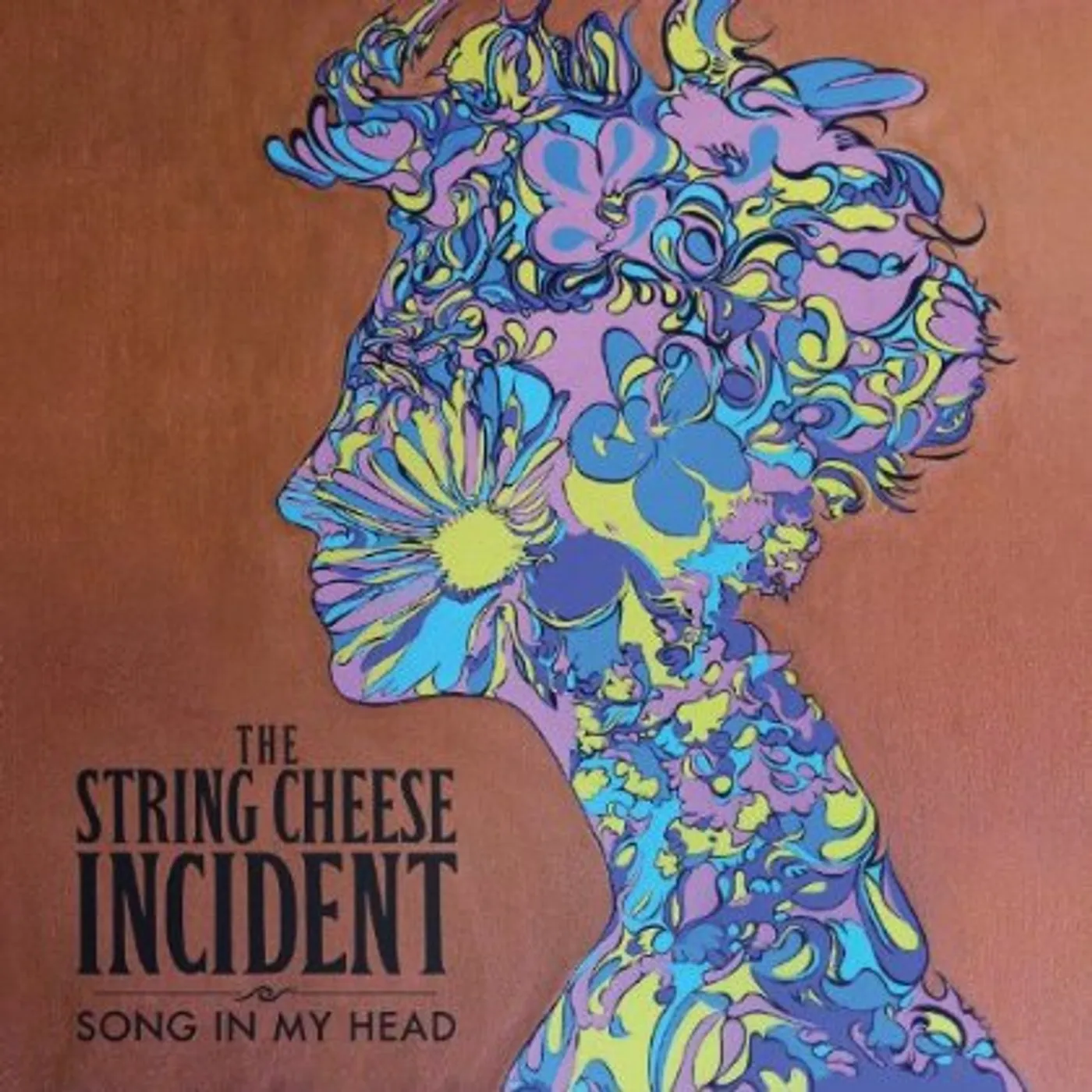 The String Cheese Incident SONG IN MY HEAD CD