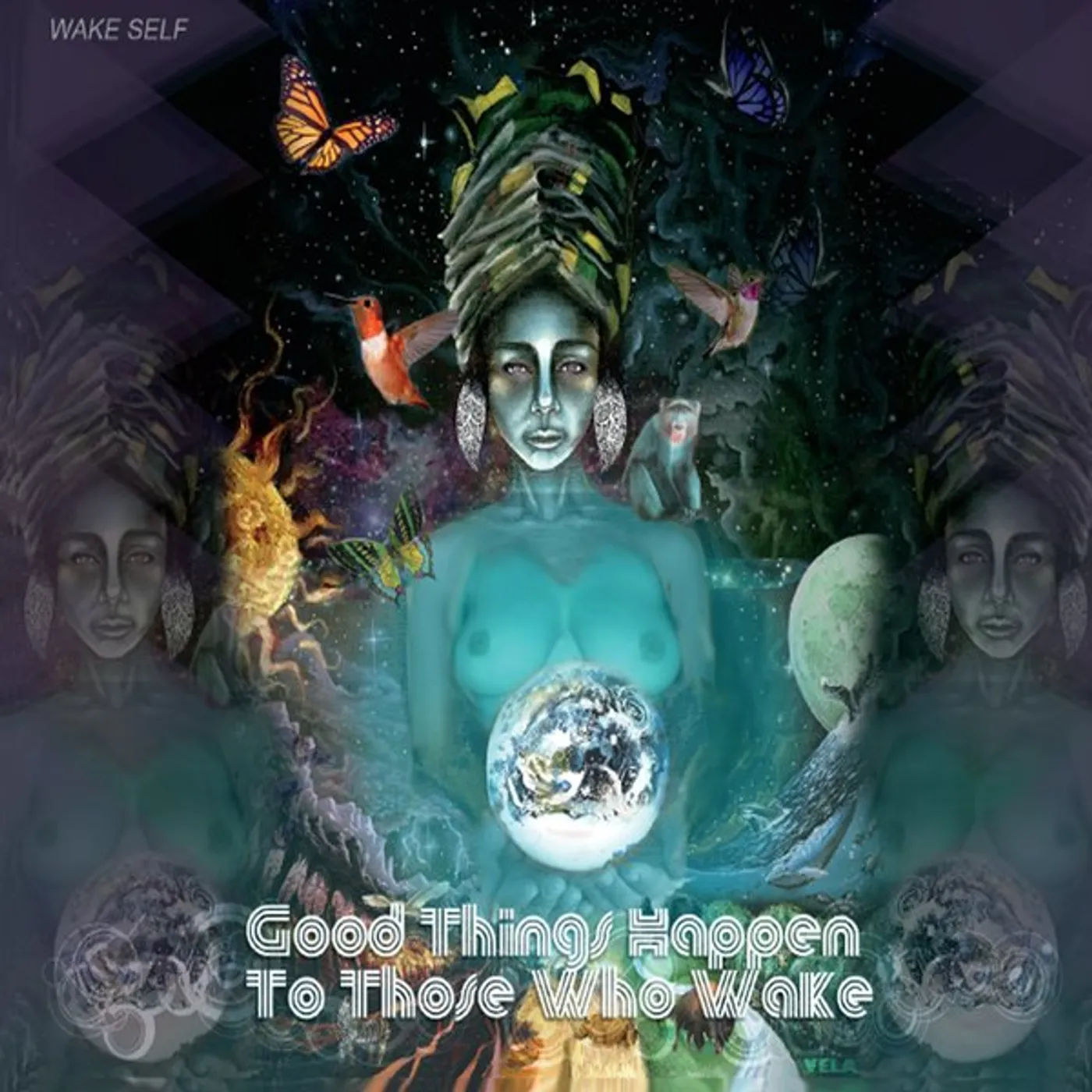 Wake Self GOOD THINGS HAPPEN TO THOSE WHO WAKE CD