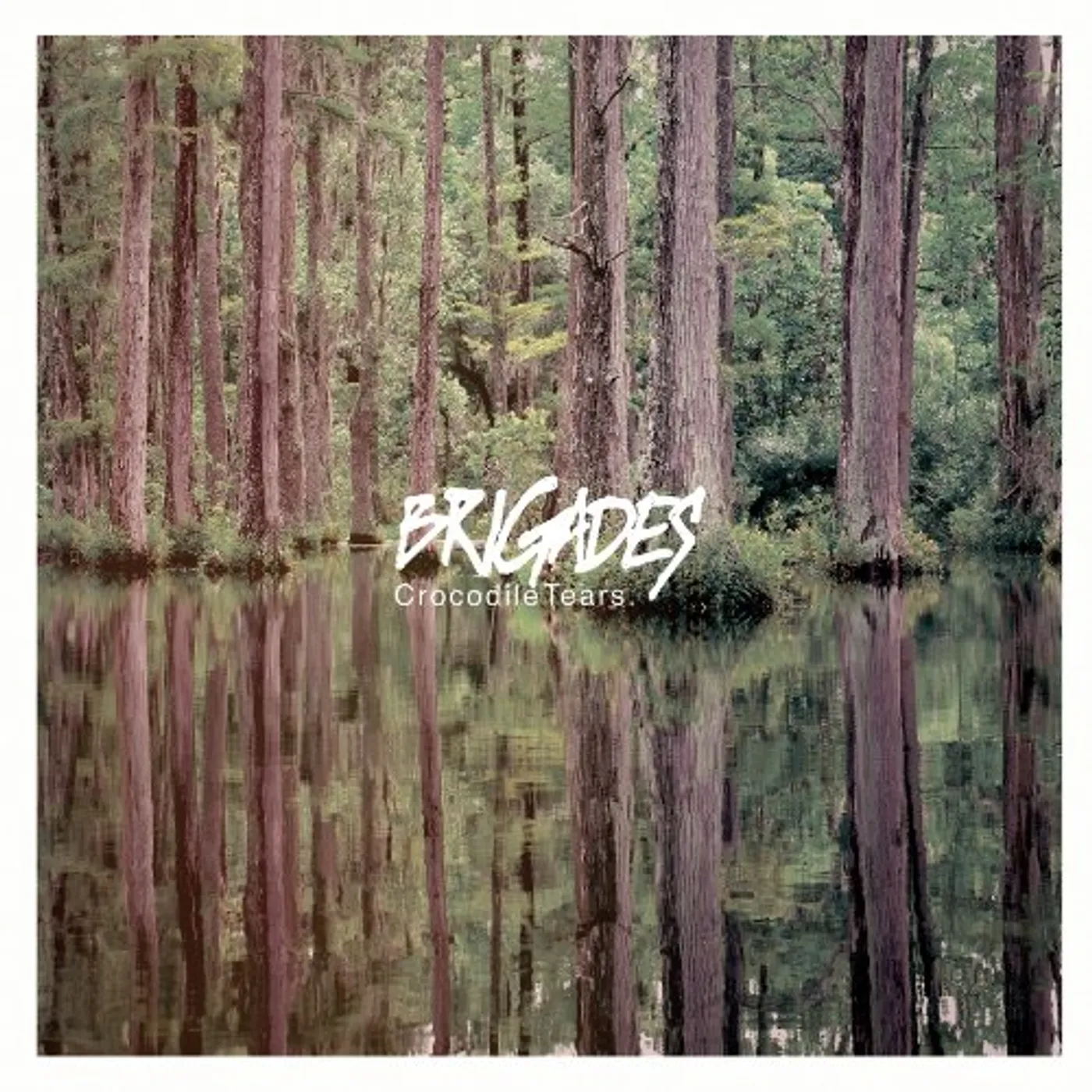 Brigades CROCODILE TEARS (EP) Vinyl Record