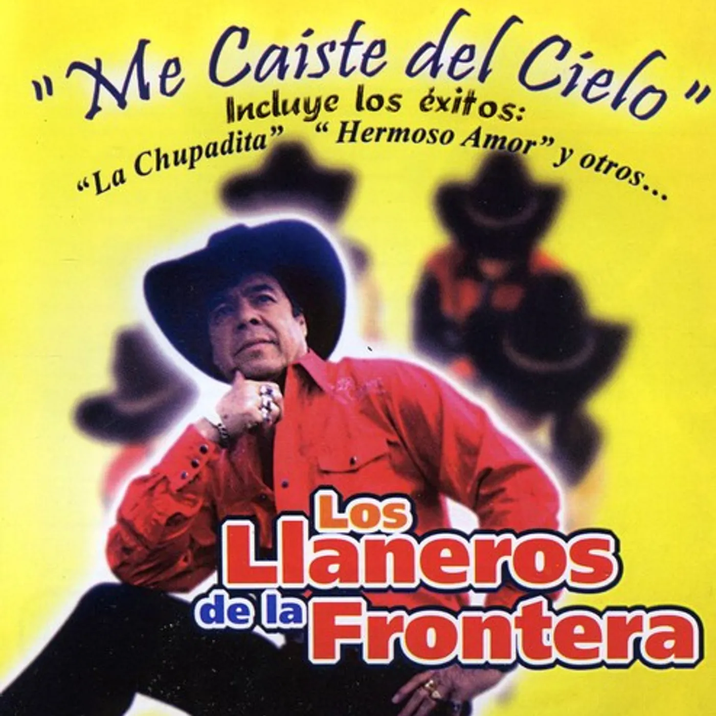 Los Llaneros De La Frontera ME CAISTE DEL CIELO CD