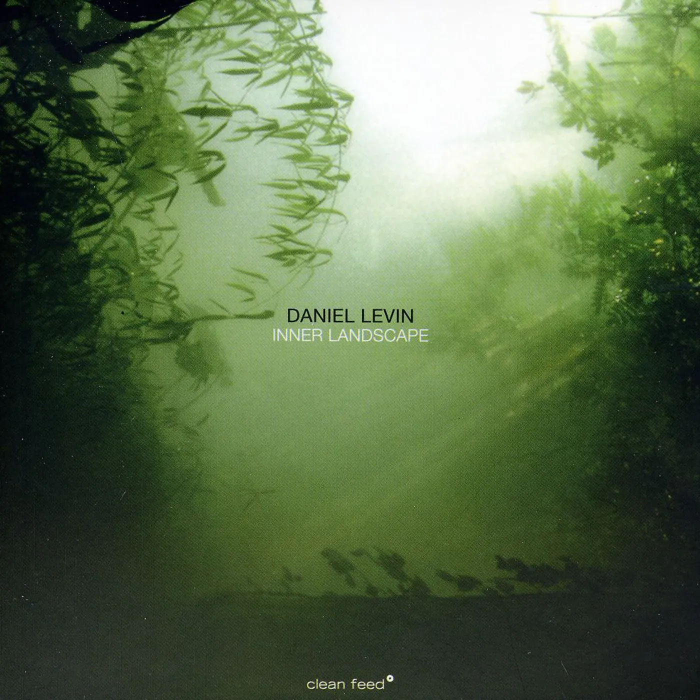 Daniel Levin INNER LANDSCAPE CD