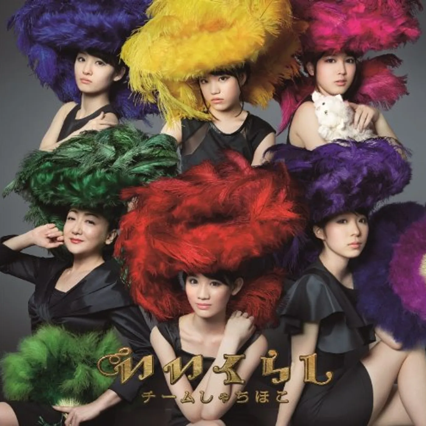 Team Syachihoko IIKURASHI CD