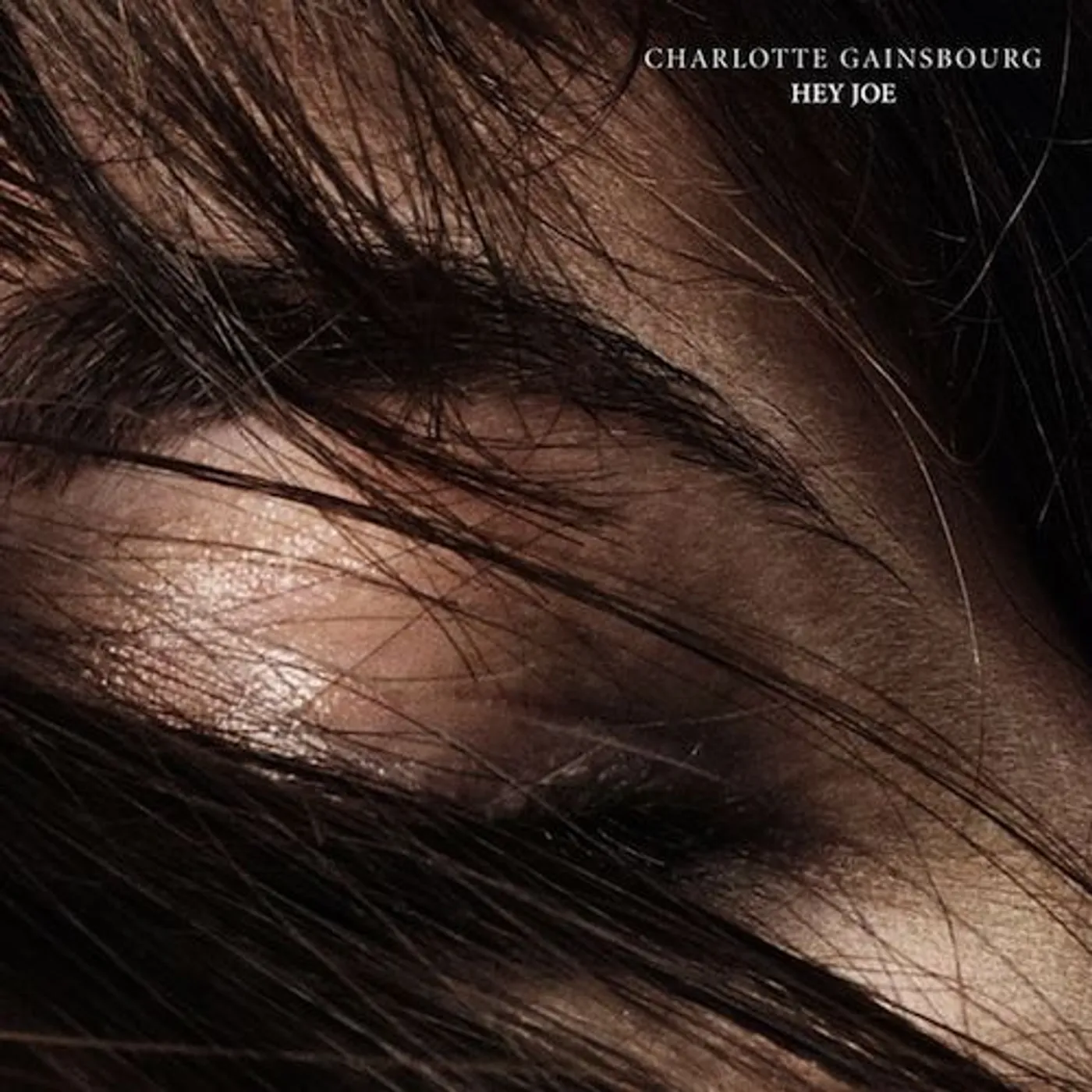 Charlotte Gainsbourg Hey Joe Vinyl Record