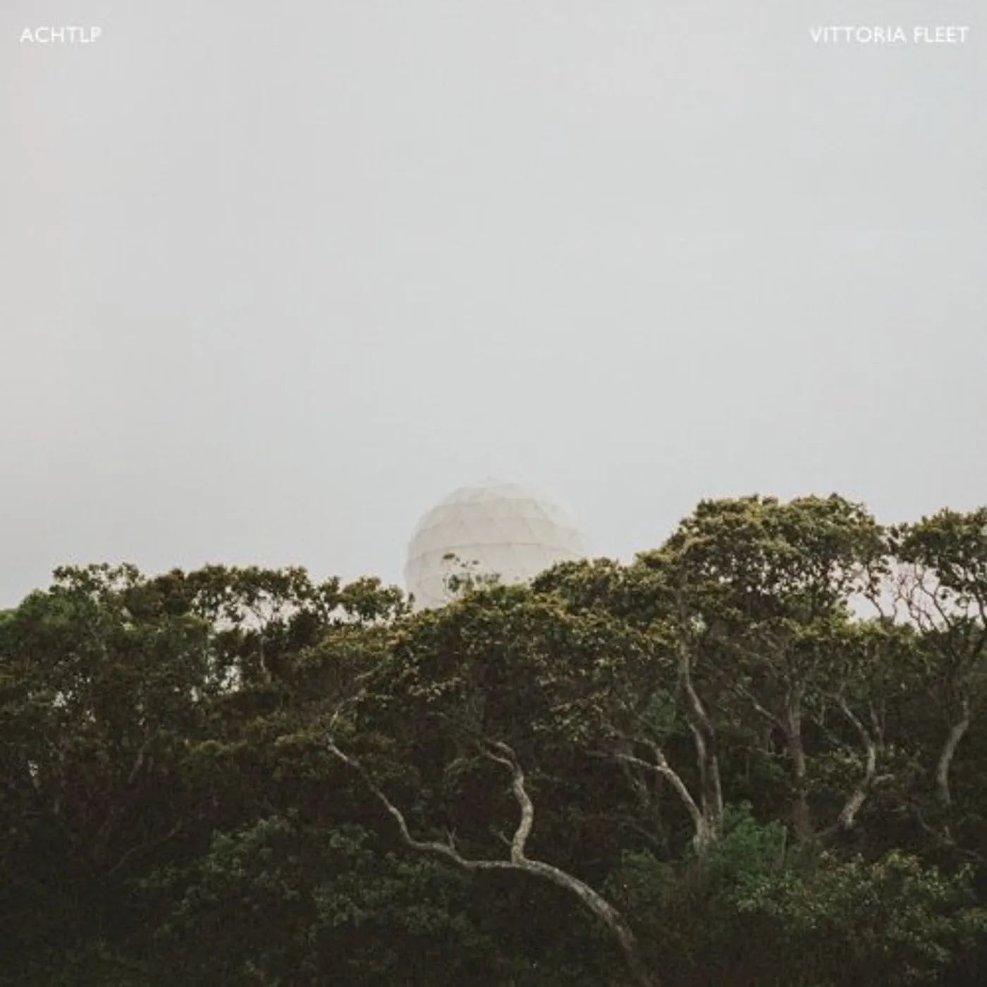 Vittoria Fleet ACHT LP CD