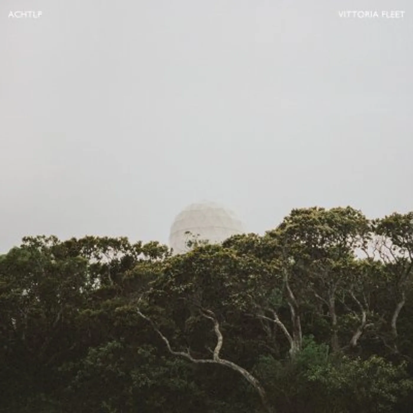 Vittoria Fleet ACHT LP Vinyl Record