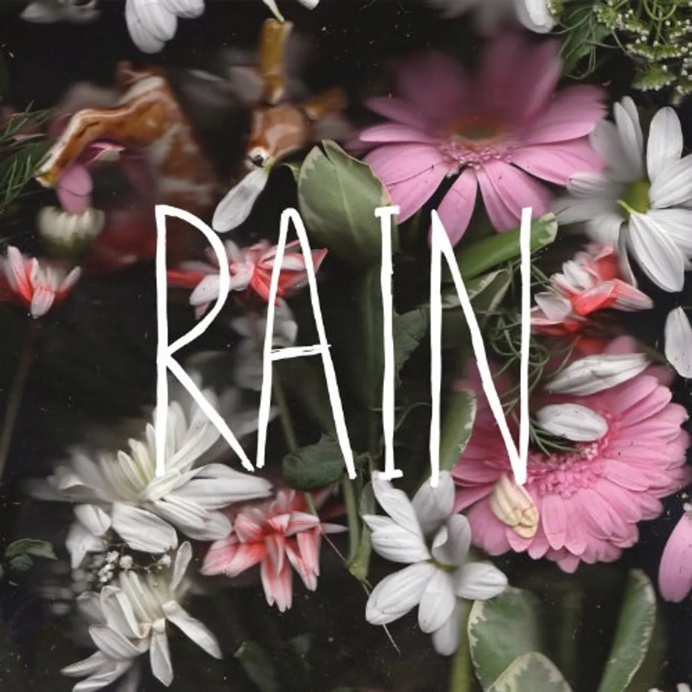 Goodtime Boys RAIN CD