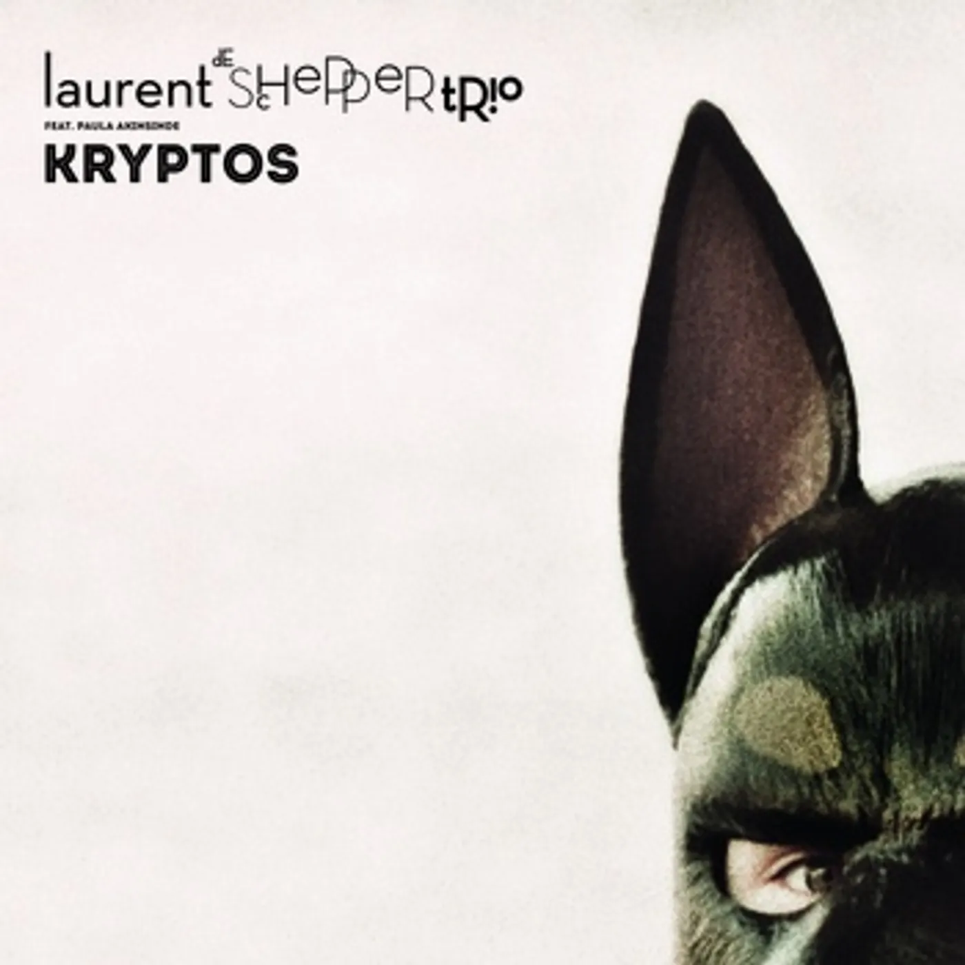 Laurent De Schepper Trio Kryptos Vinyl Record