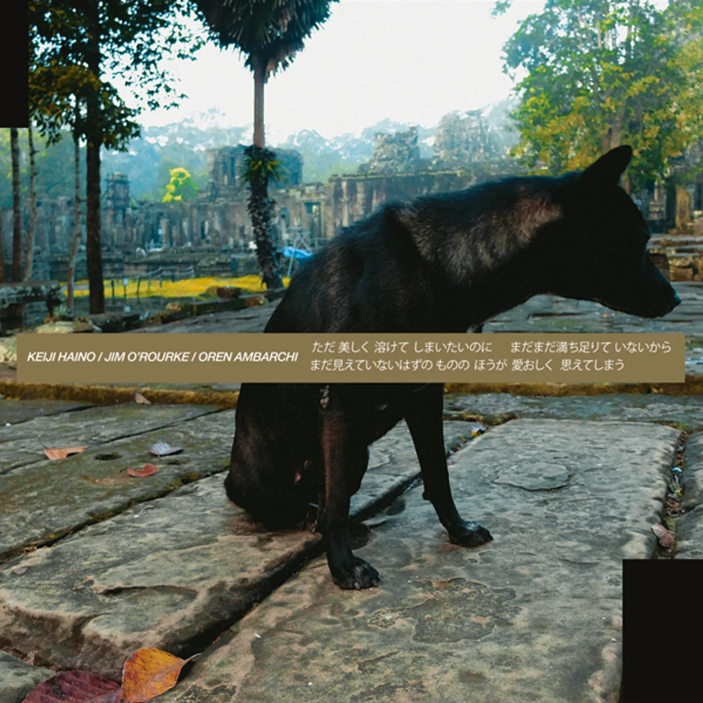 Keiji Haino ONLY WANTING TO MELT BEAUTIFULLY AWAY IS IT A LACK CD