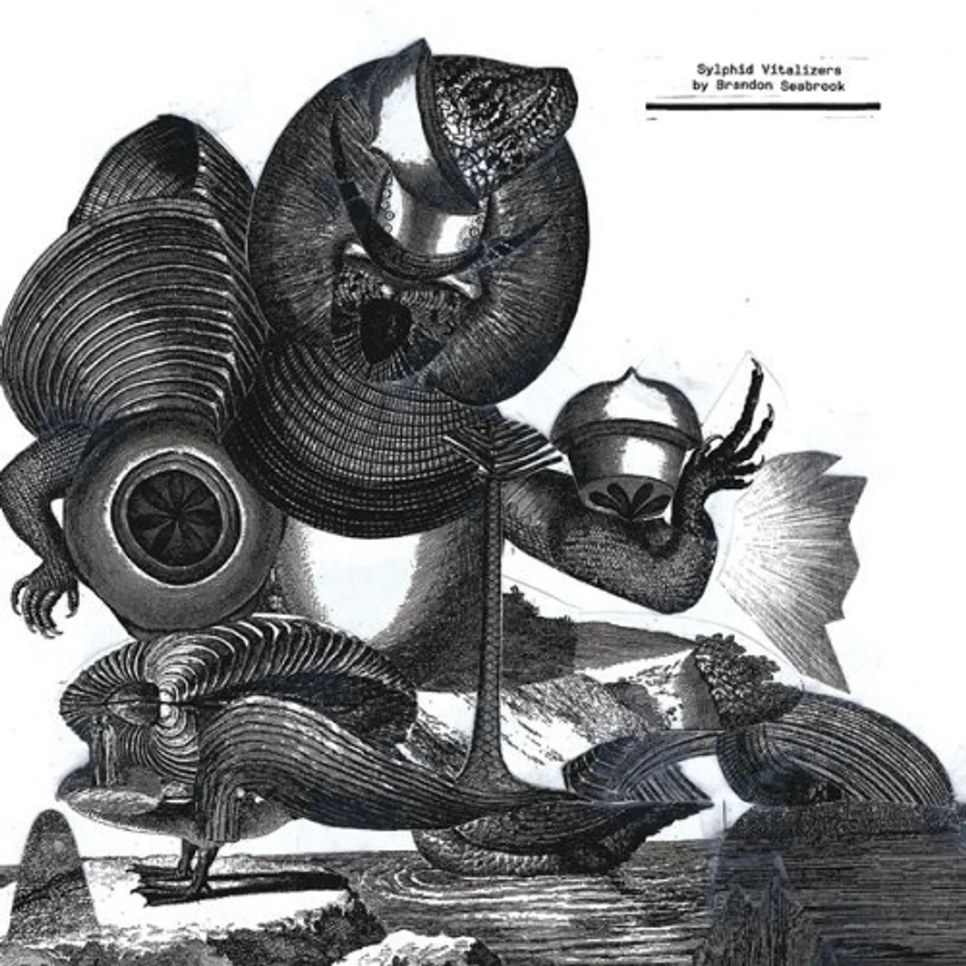 Brandon Seabrook Sylphid Vitalizers Vinyl Record