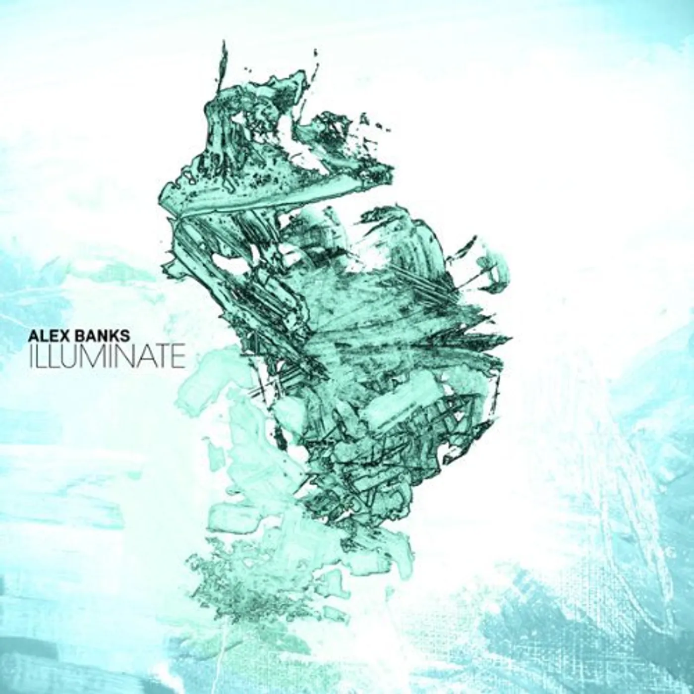 Alex Banks ILLUMINATE (2LP) Vinyl Record