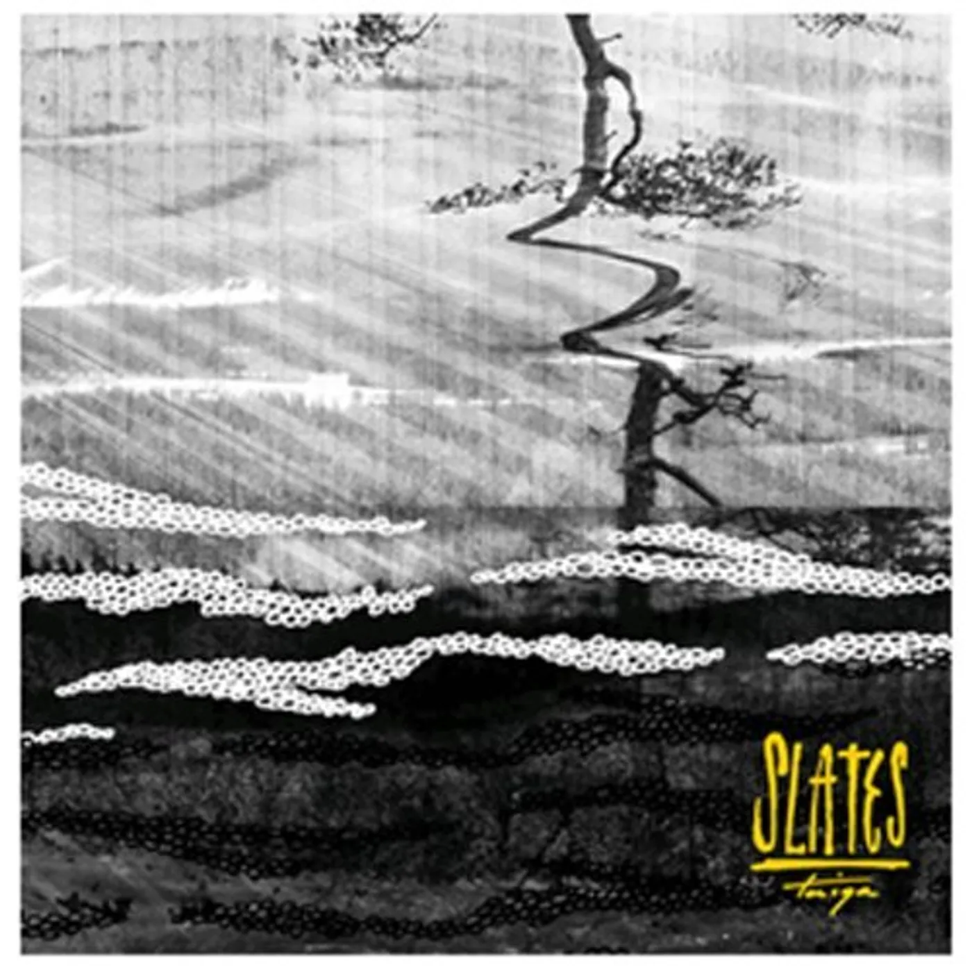 Slates TAIGA CD