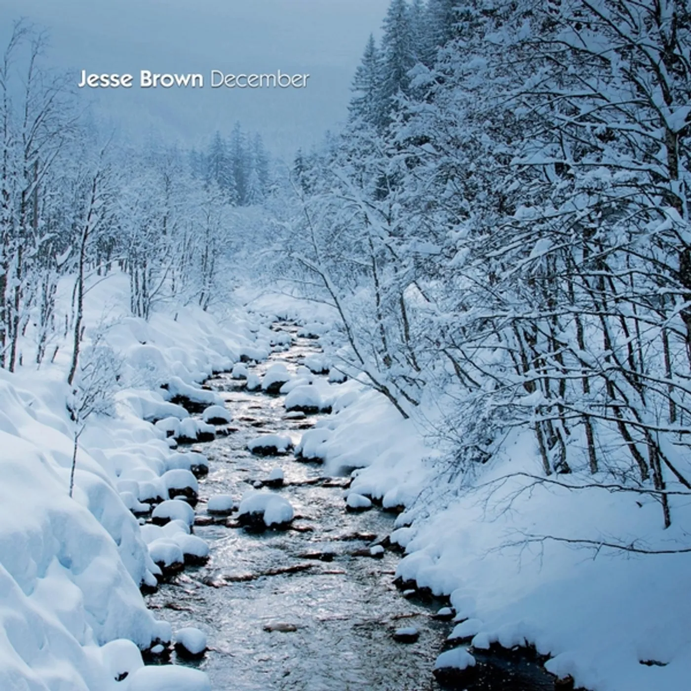 Jesse Brown DECEMBER CD