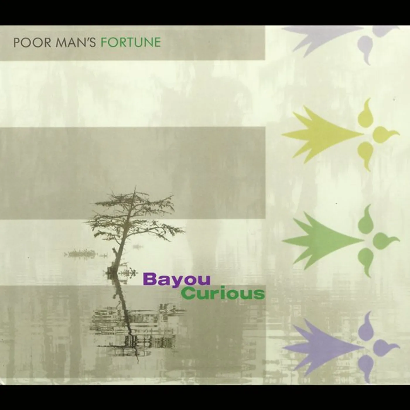 Poor Man's Fortune BAYOU CURIOUS CD