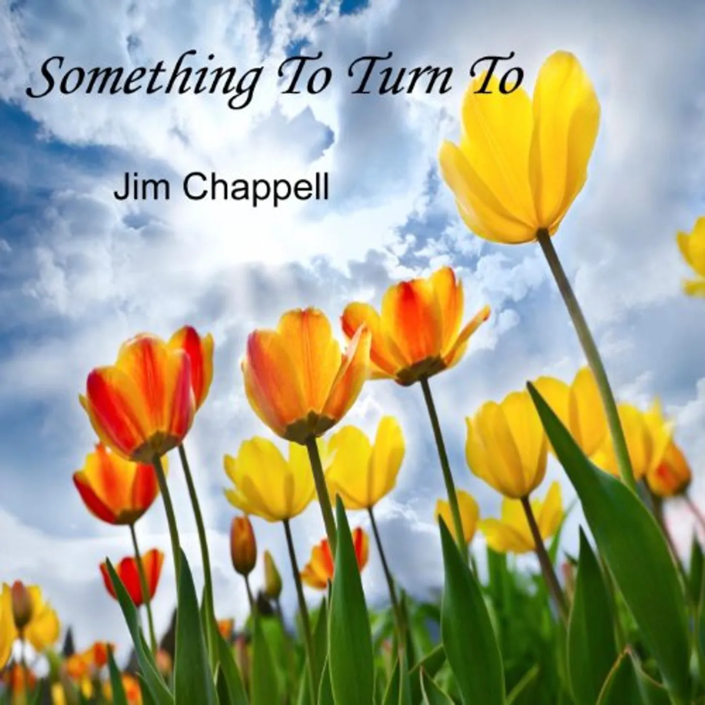 Jim Chappell SOMETHING TO TURN TO CD