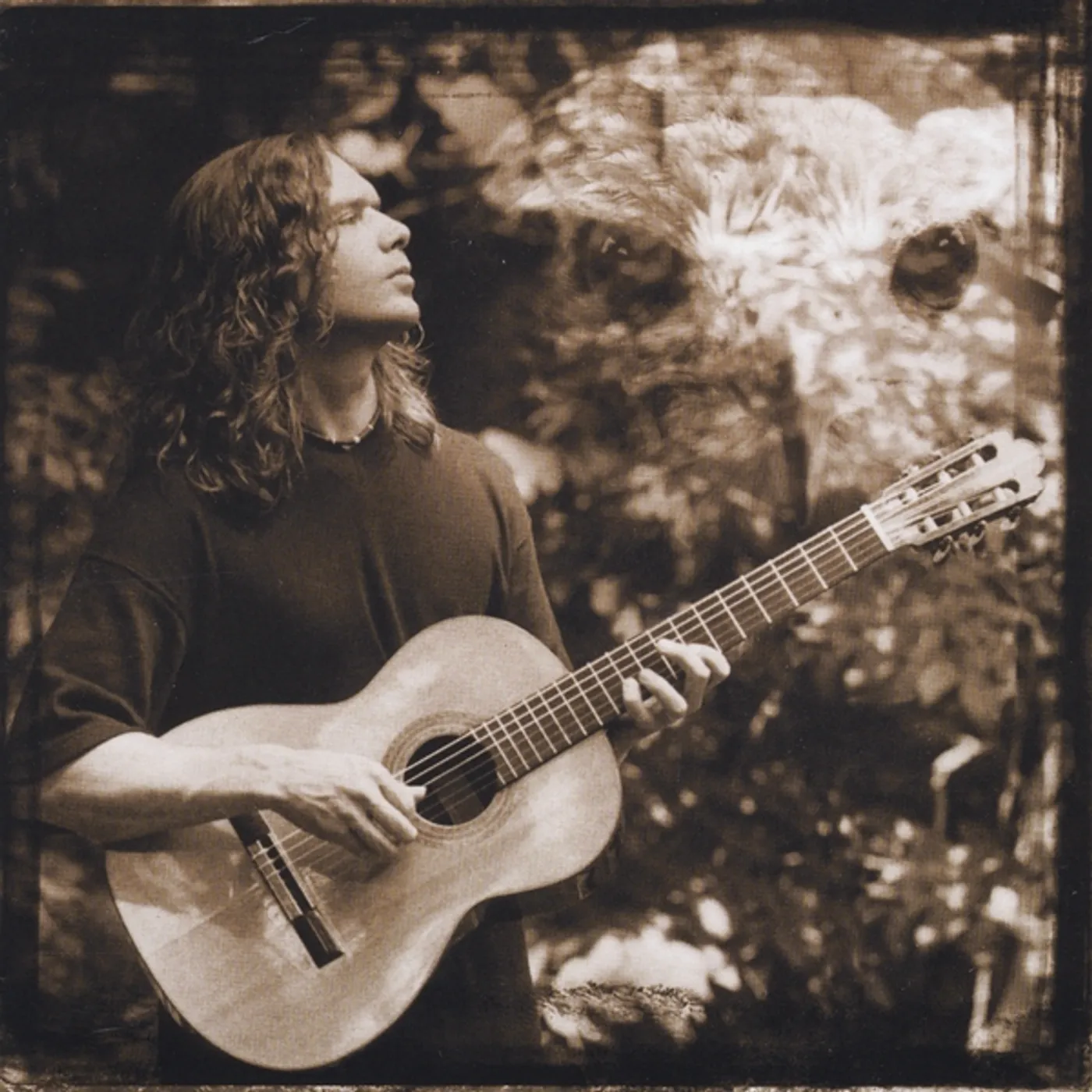 Danny Voris MOVING THROUGH THE GHOSTS OF TREES CD