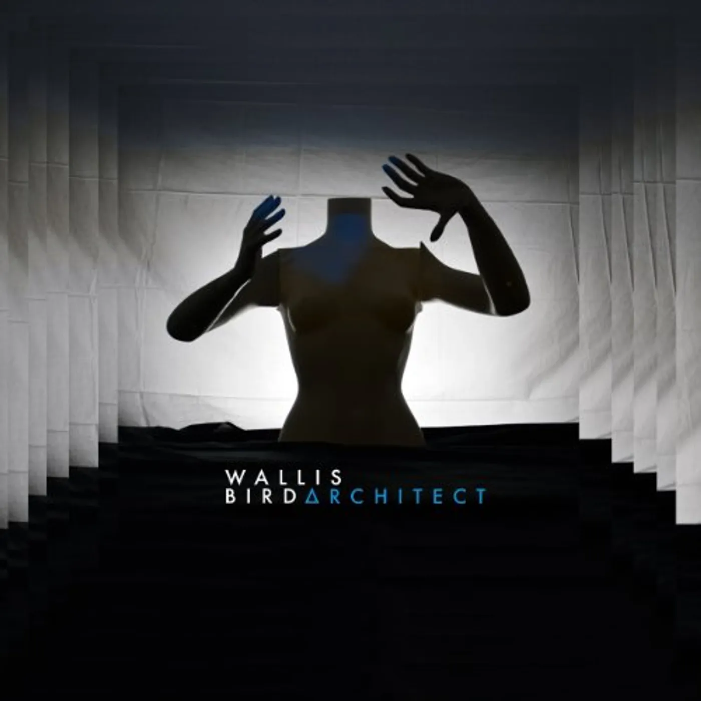 Wallis Bird ARCHITECT CD