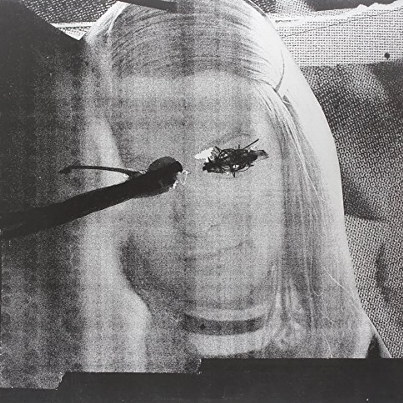 Altar of Flies FEMALE Vinyl Record