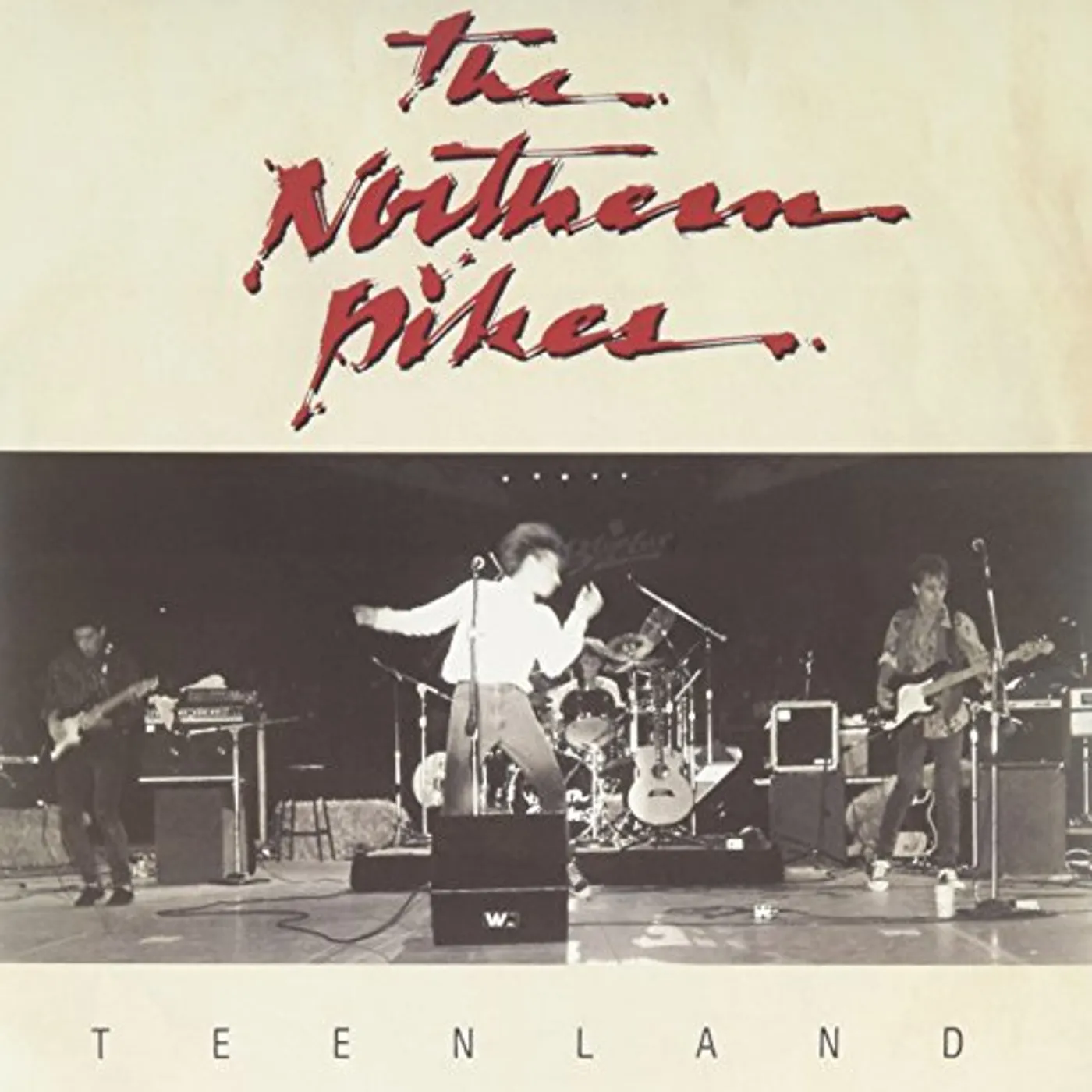 The Northern Pikes TEENLAND/THE THINGS I Vinyl Record
