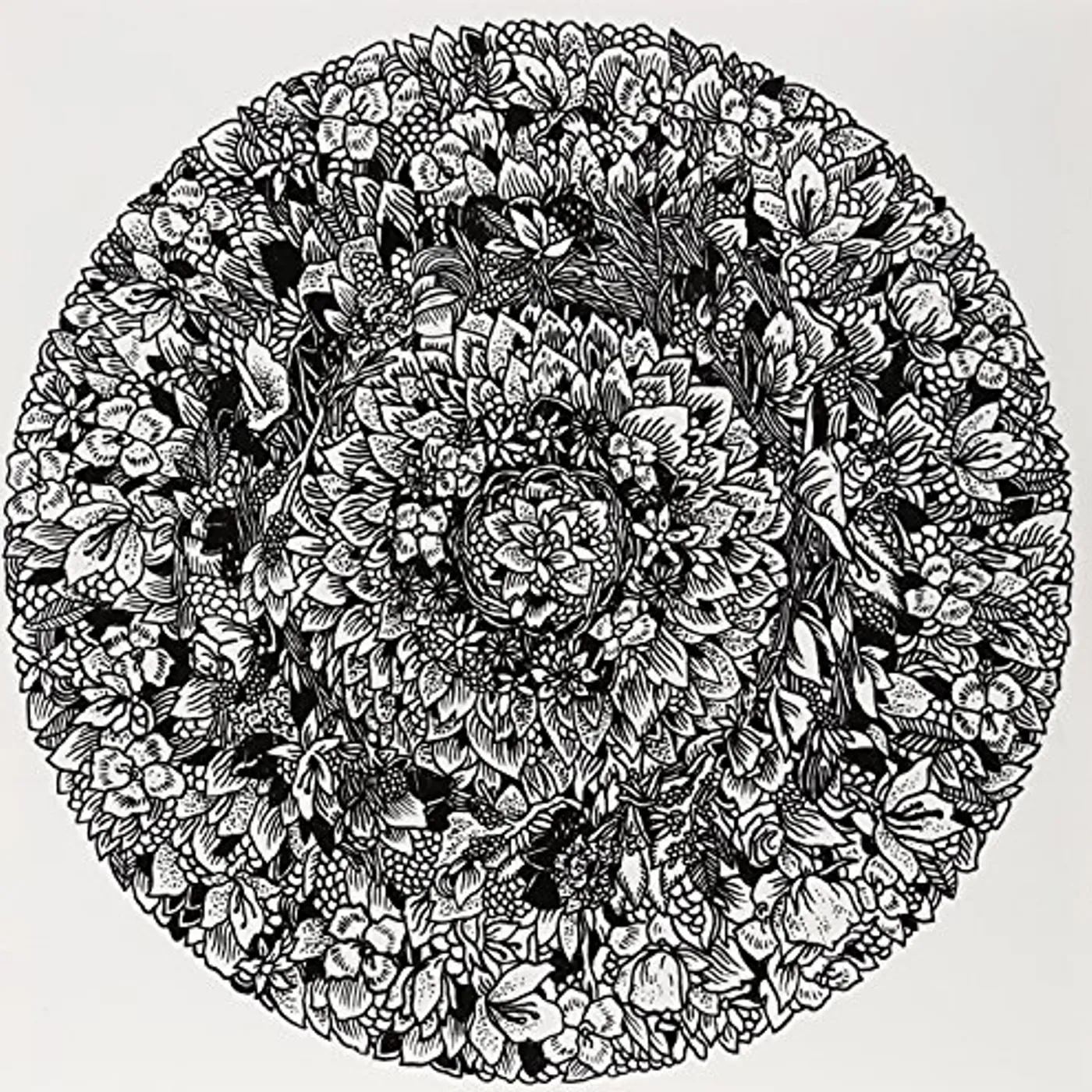 Some Ember Vinyl Record