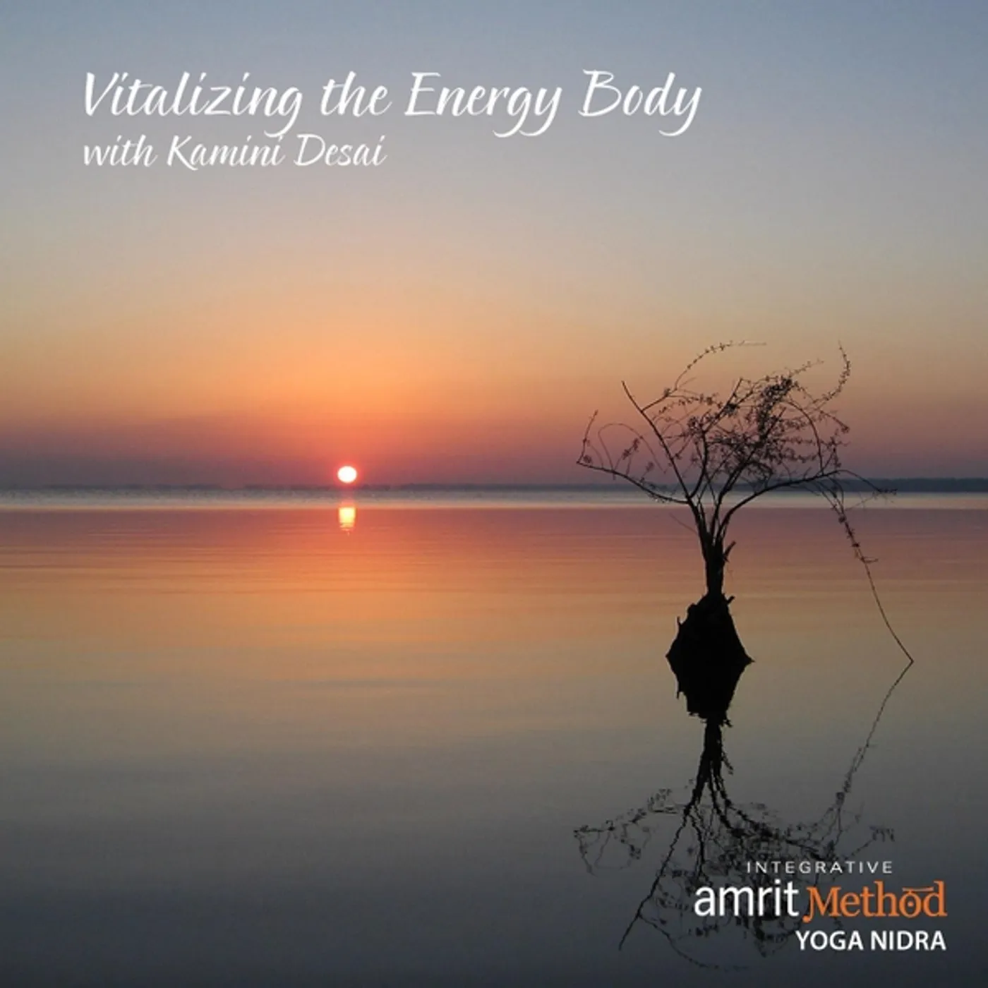Kamini Desai VITALIZING THE ENERGY BODY CD