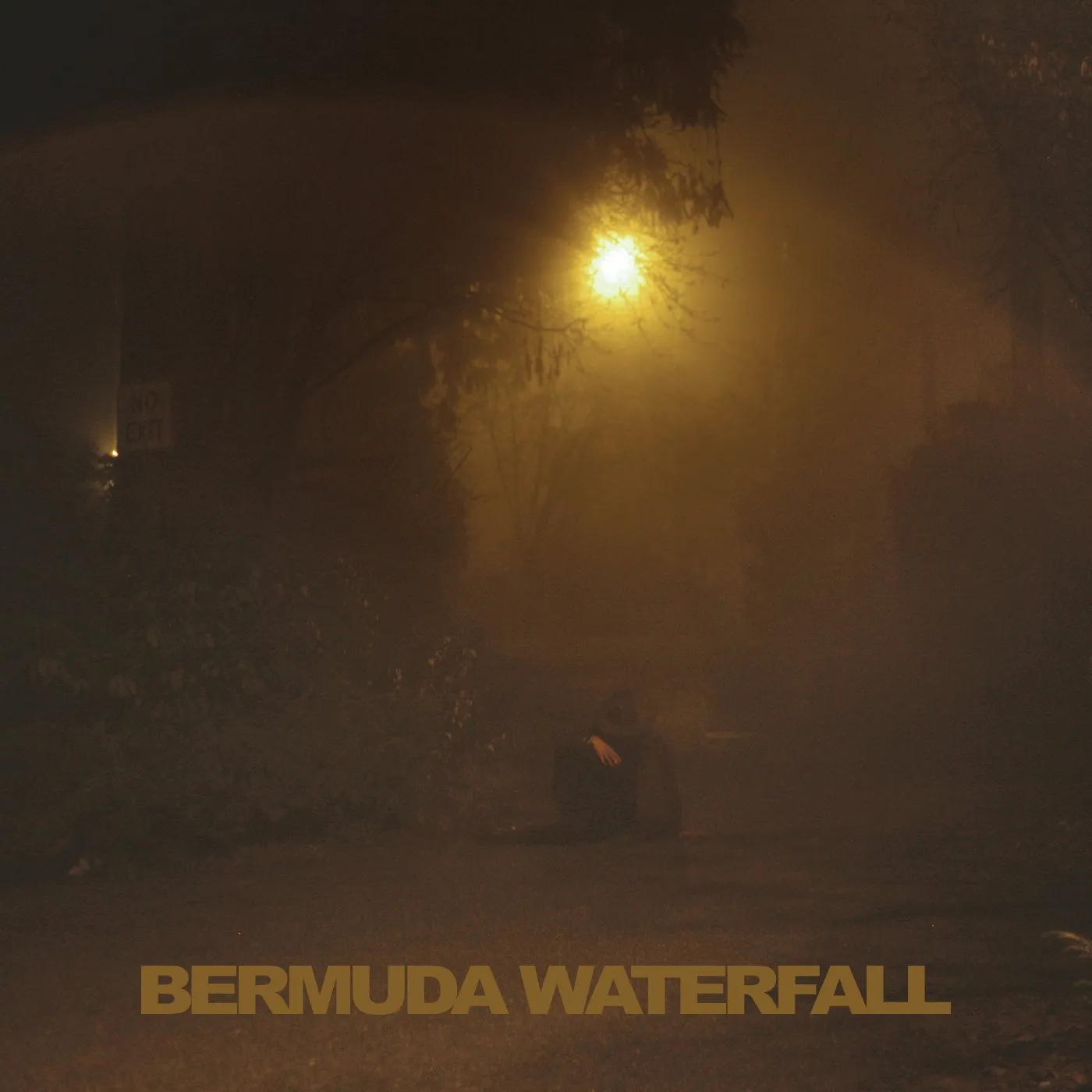 Sean Nicholas Savage BERMUDA WATERFALL CD