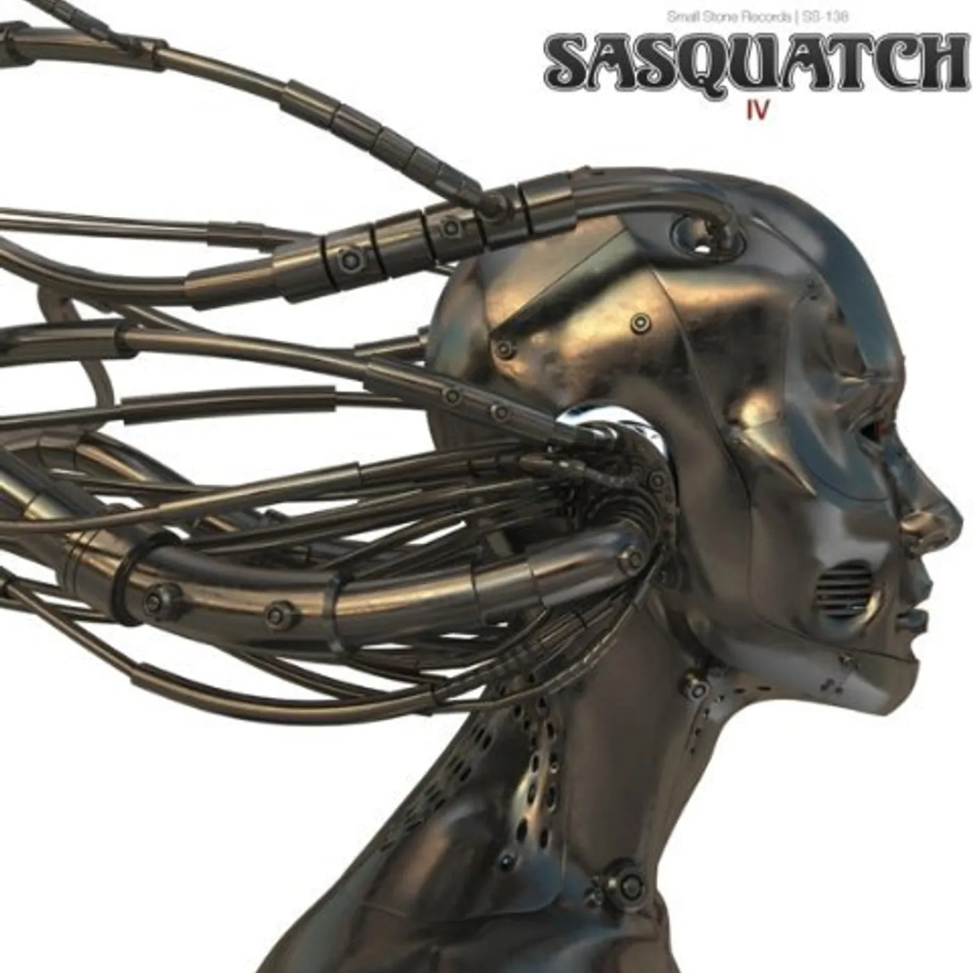 Sasquatch IV Vinyl Record - 180 Gram Pressing
