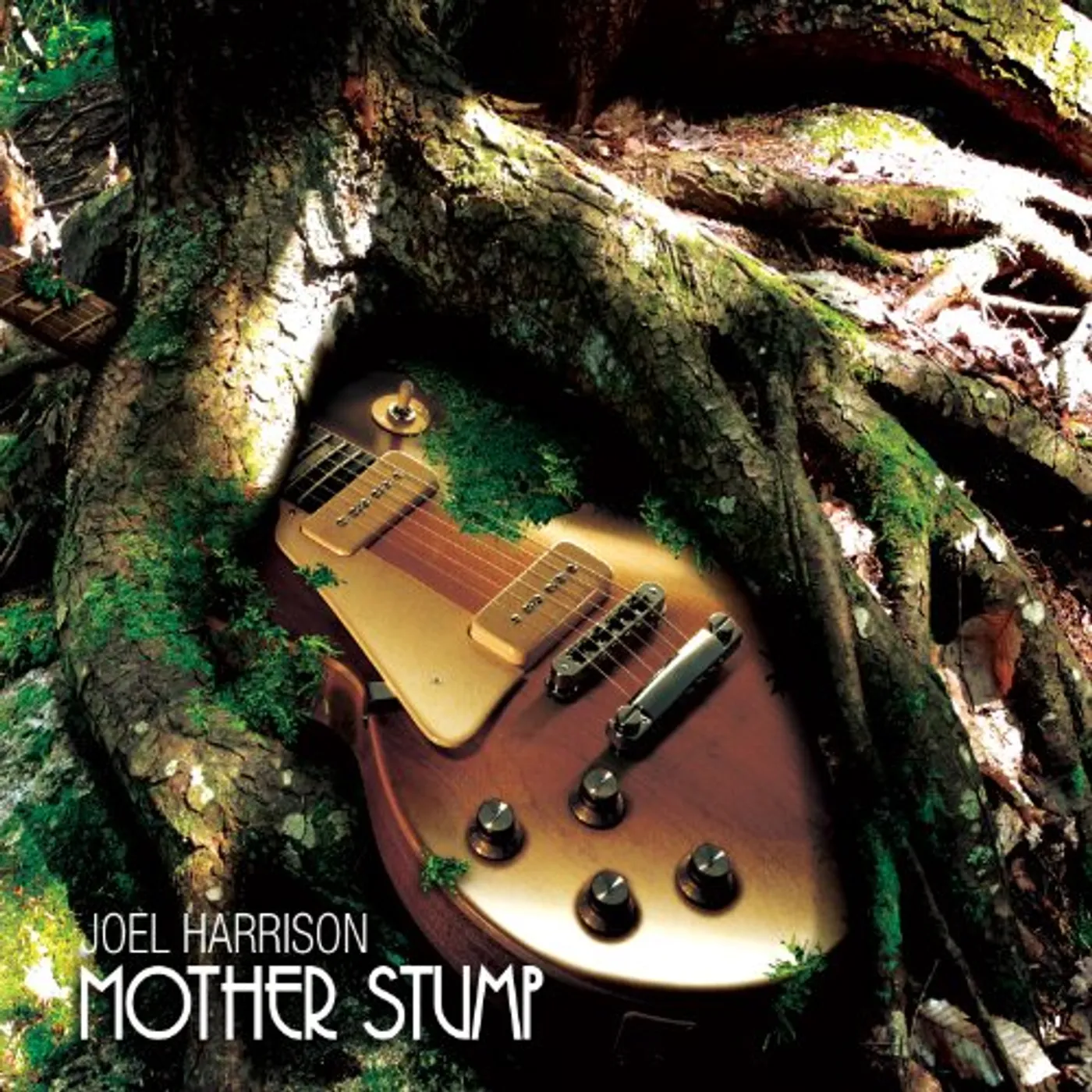 Joel Harrison MOTHER STUMP CD