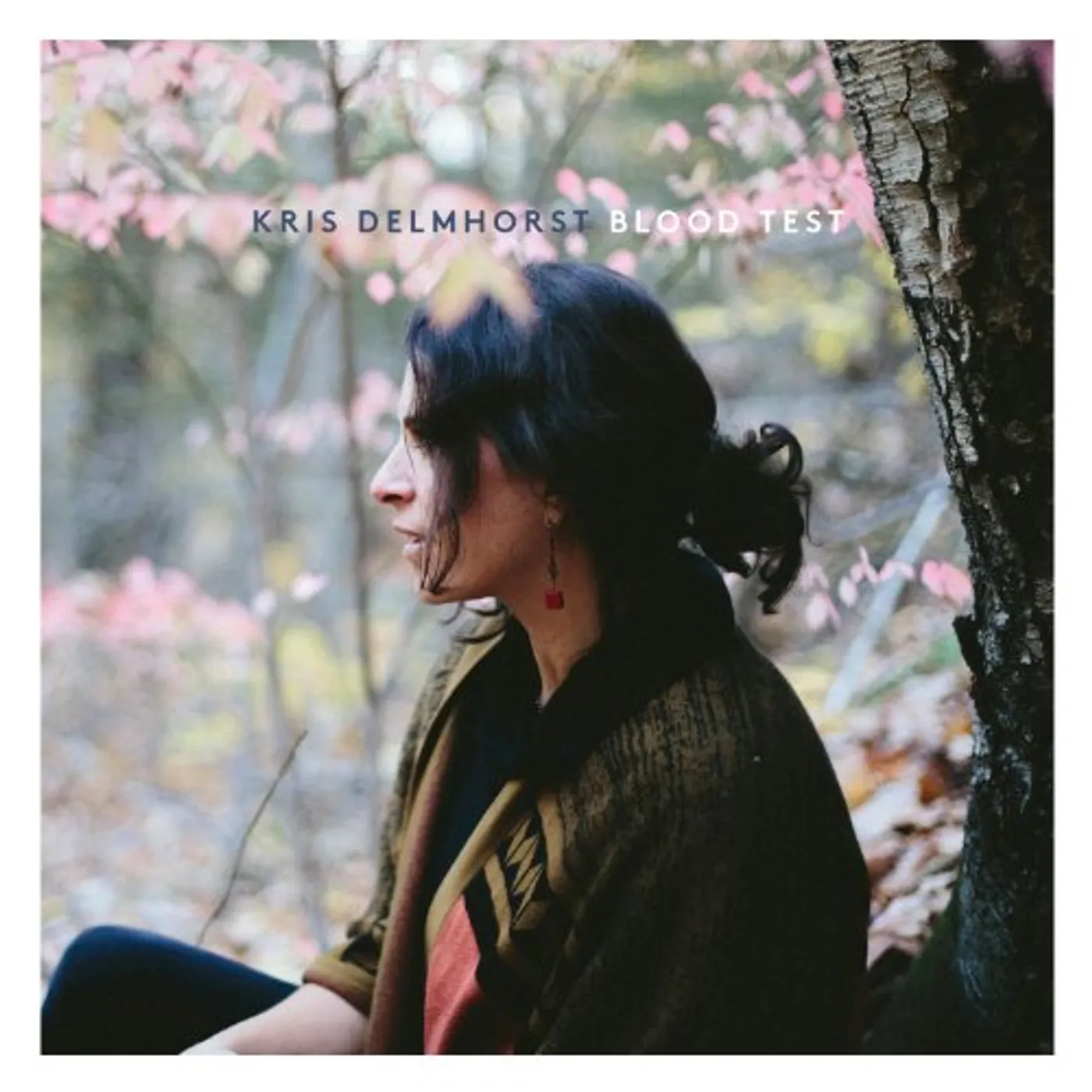 Kris Delmhorst BLOOD TEST CD