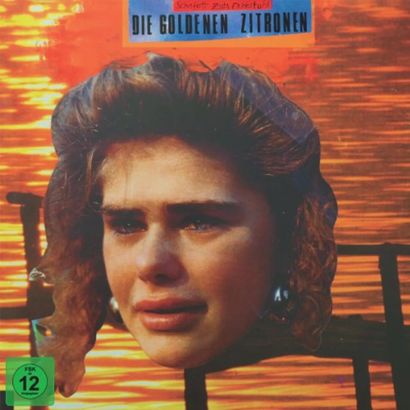 Die Goldenen Zitronen Schafott zum Fahrstuhl Vinyl Record