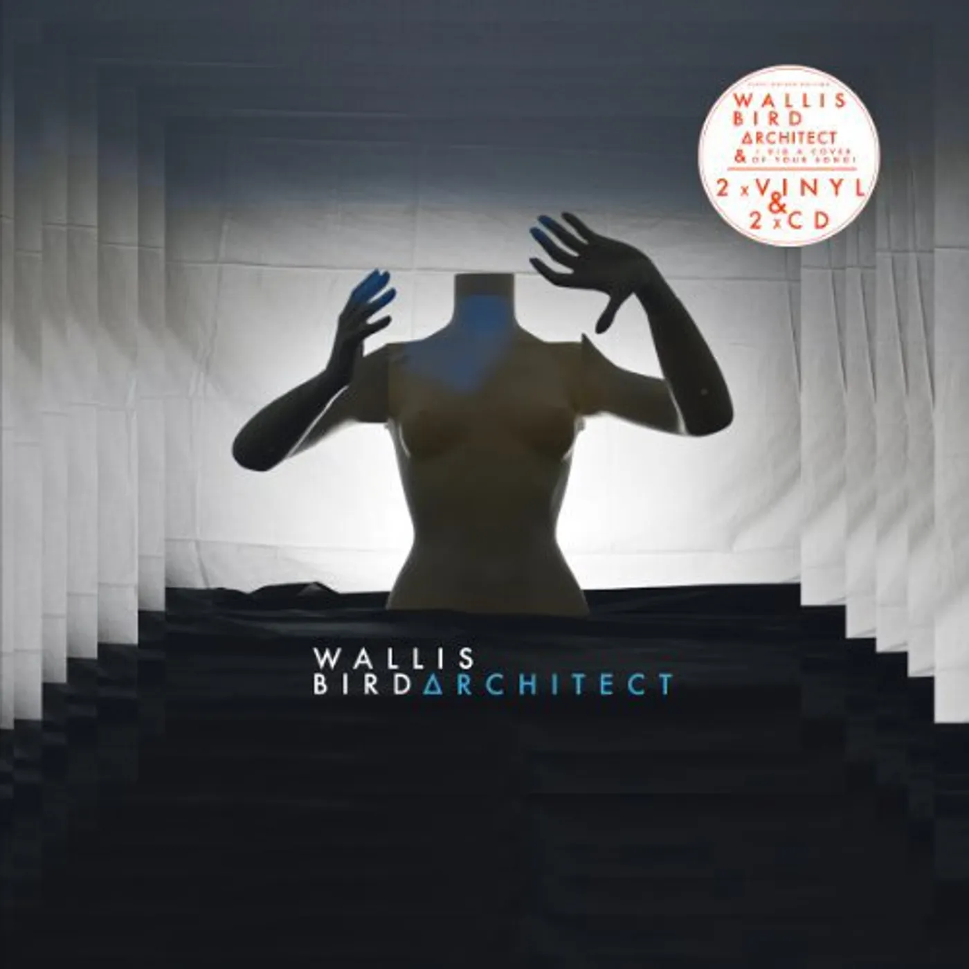 Wallis Bird Architect Vinyl Record