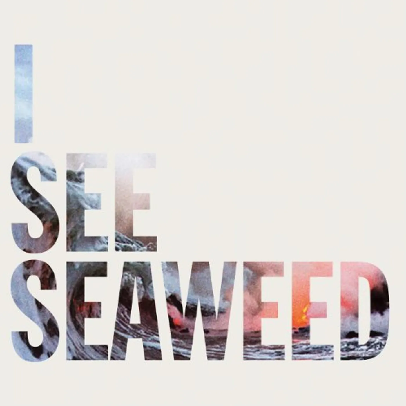 The Drones  I SEE SEAWEED Vinyl Record