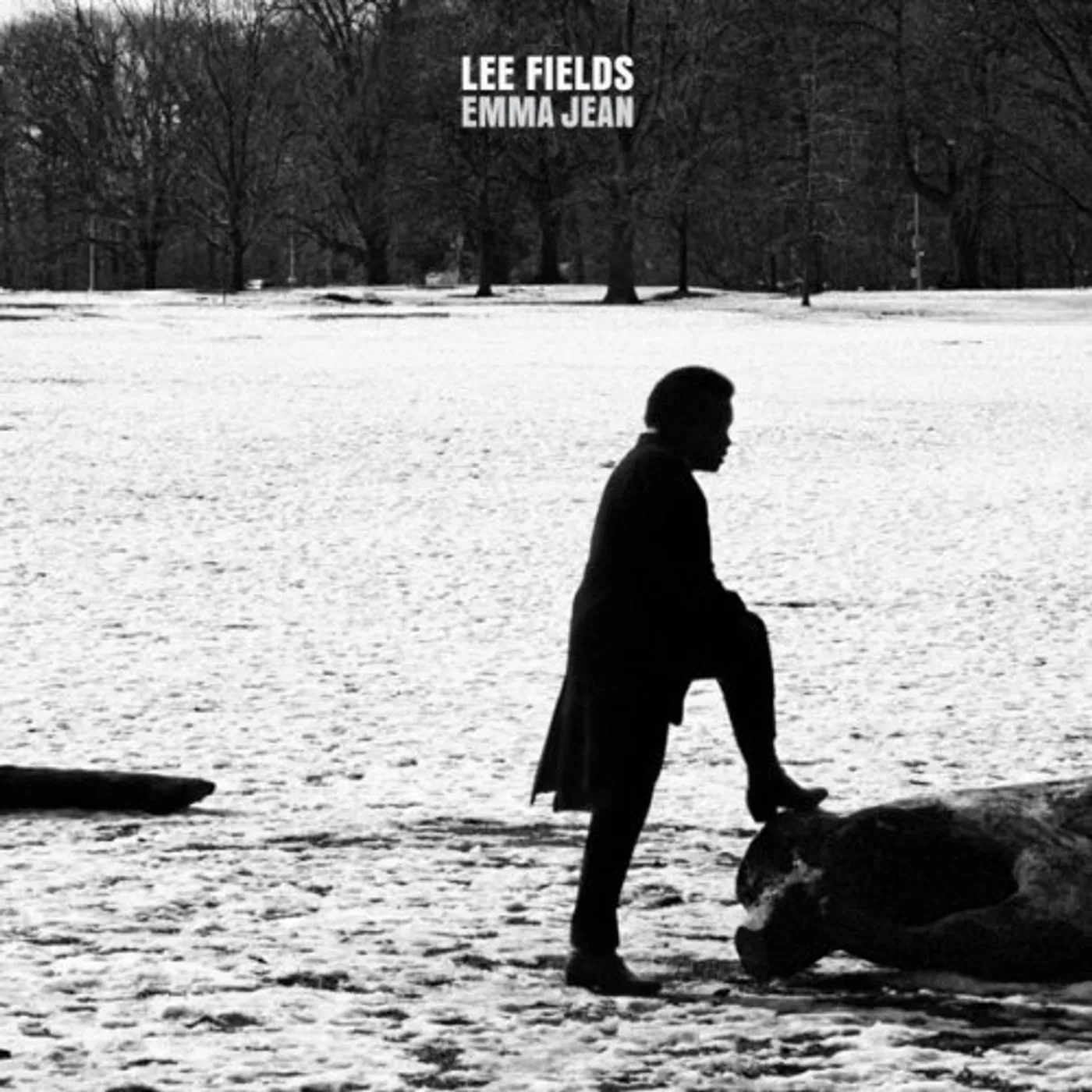 Lee Fields & The Expressions Emma Jean Vinyl Record