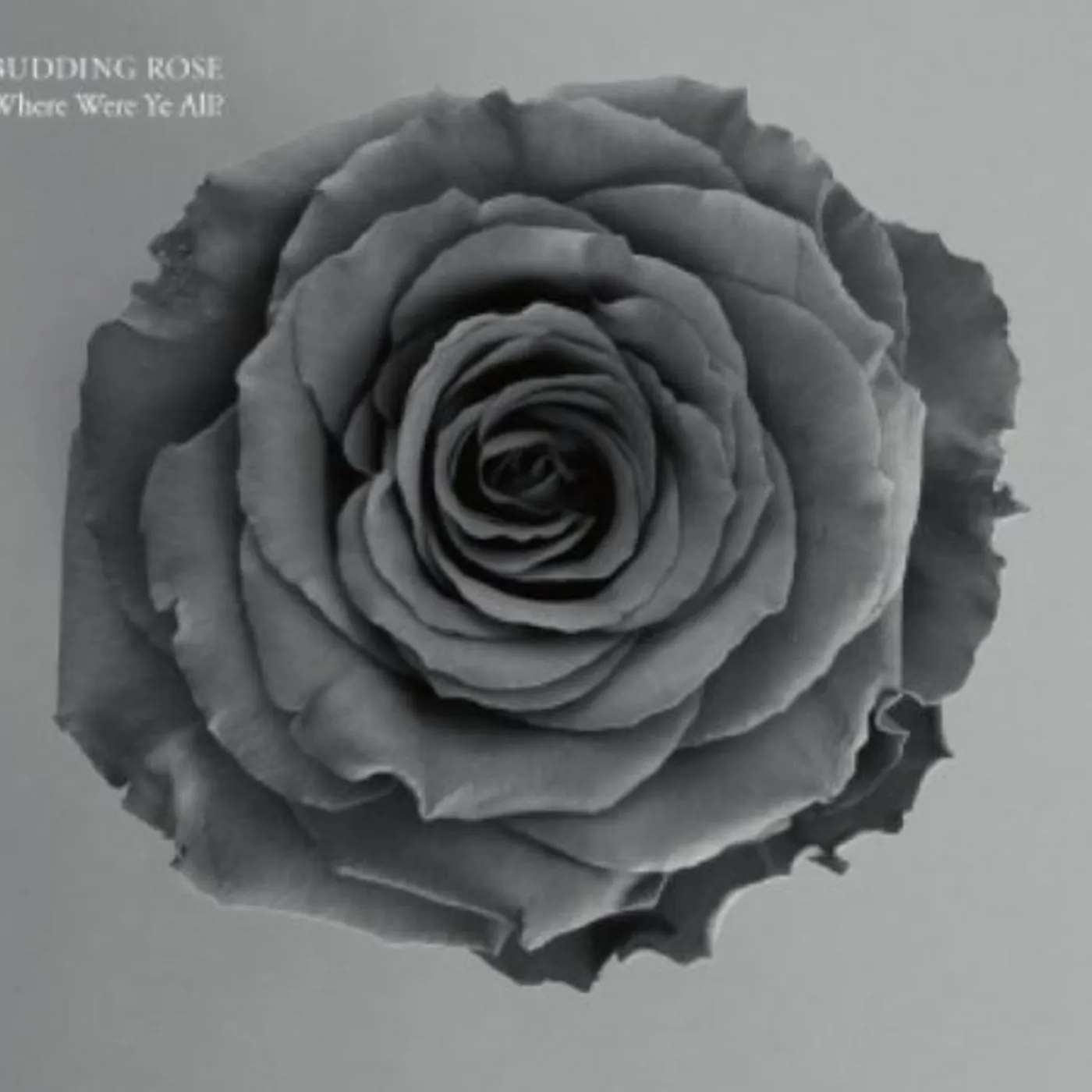 Budding Rose WHERE WERE YE ALL CD