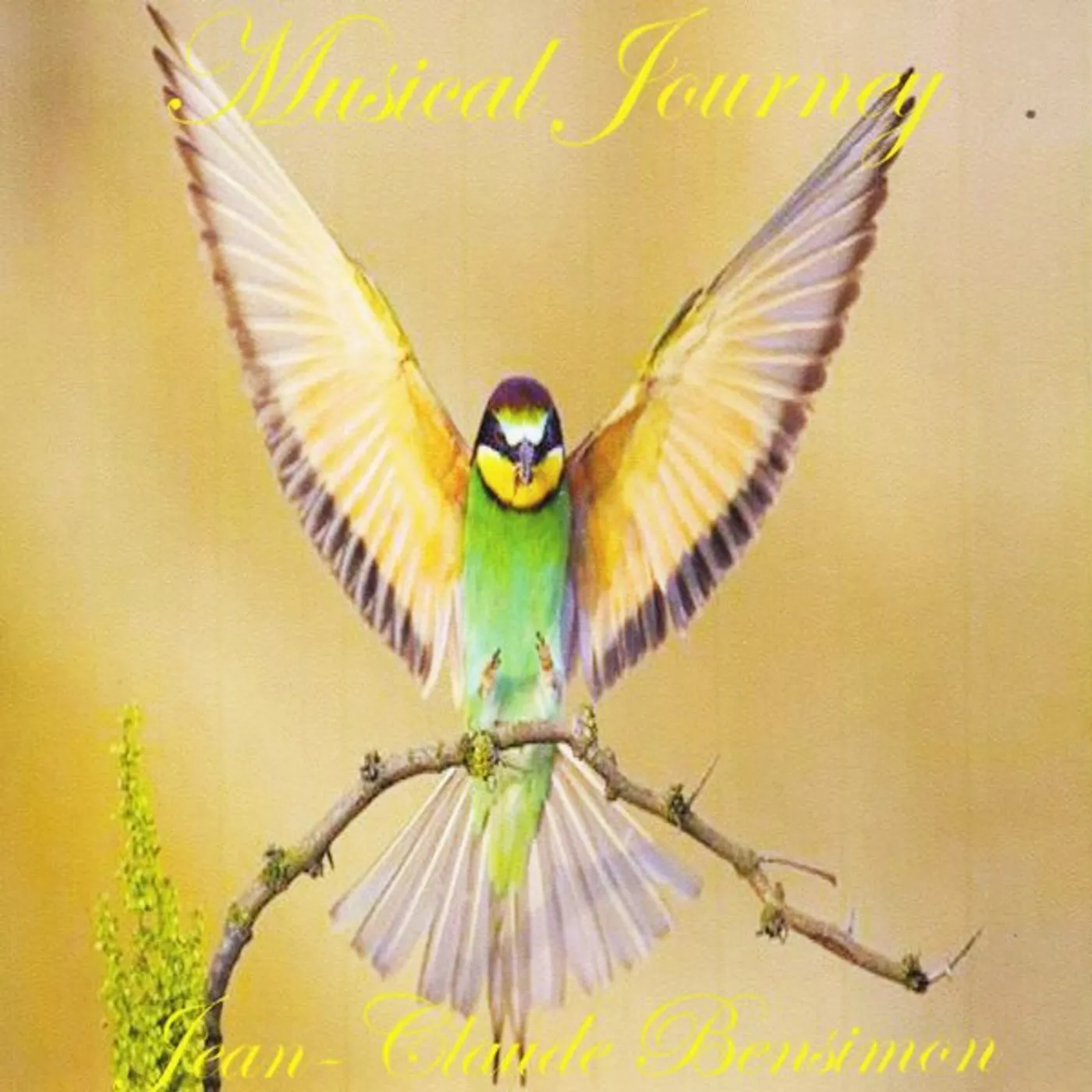 Jean-Claude Bensimon MUSICAL JOURNEY CD