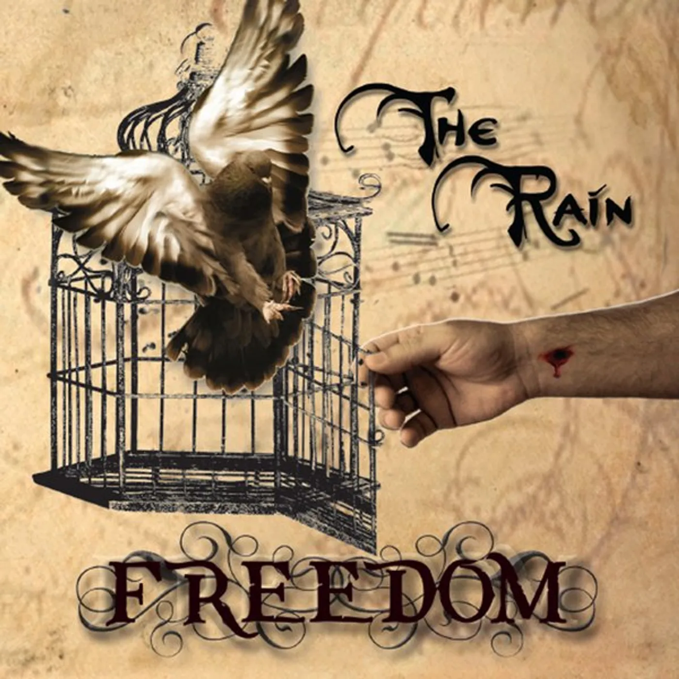 Rain FREEDOM CD