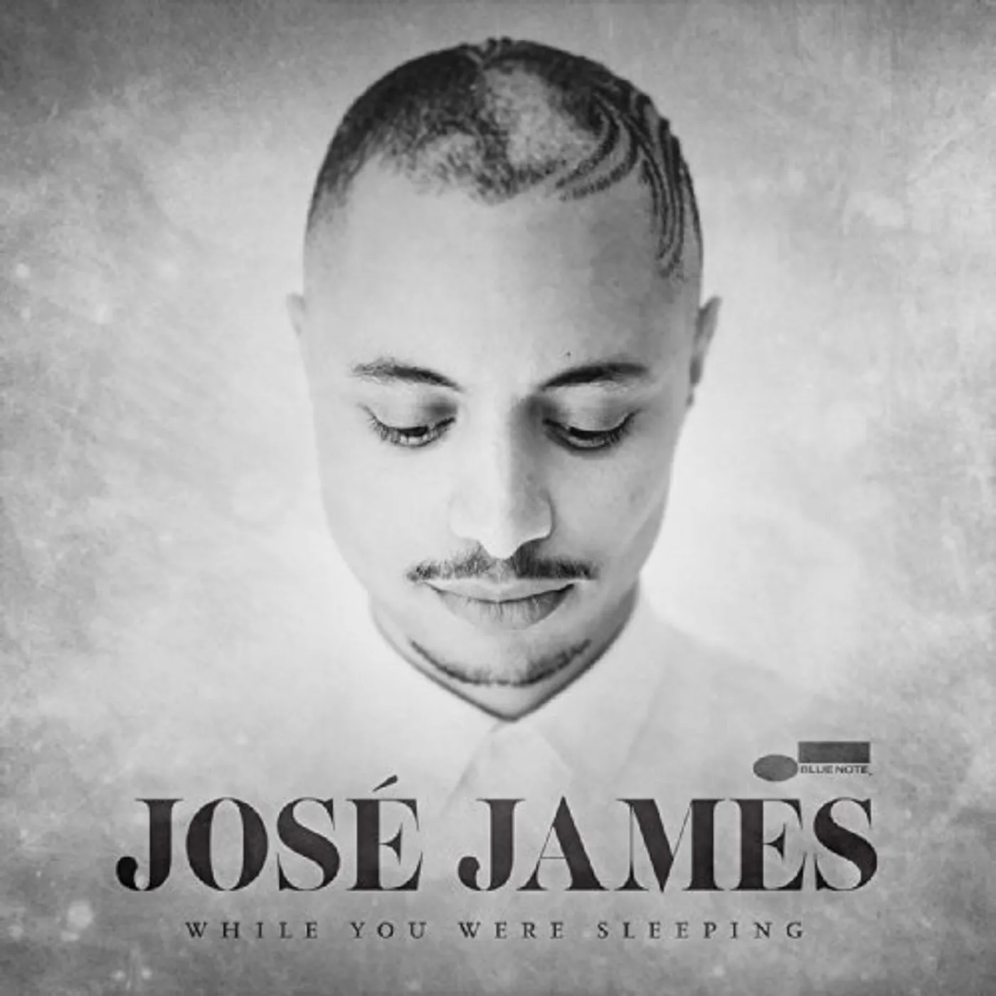 Jose James While You Were... Vinyl Record