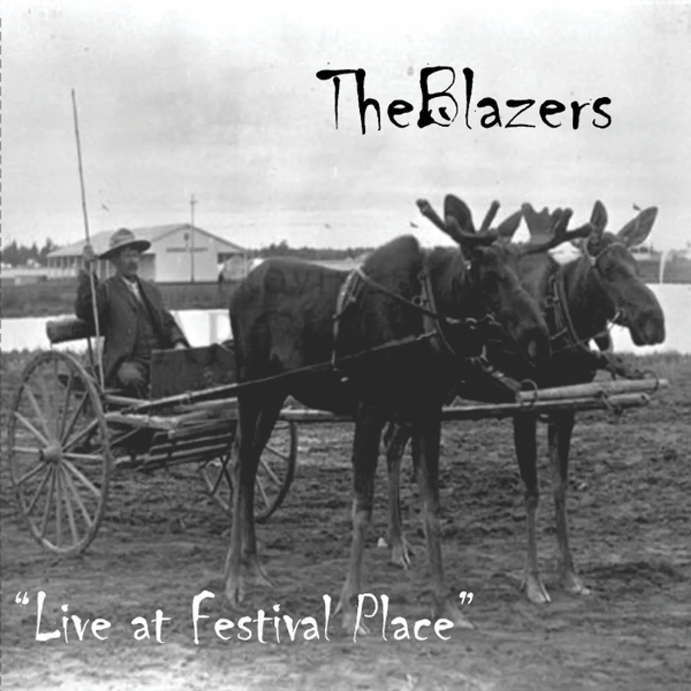 The Blazers CD