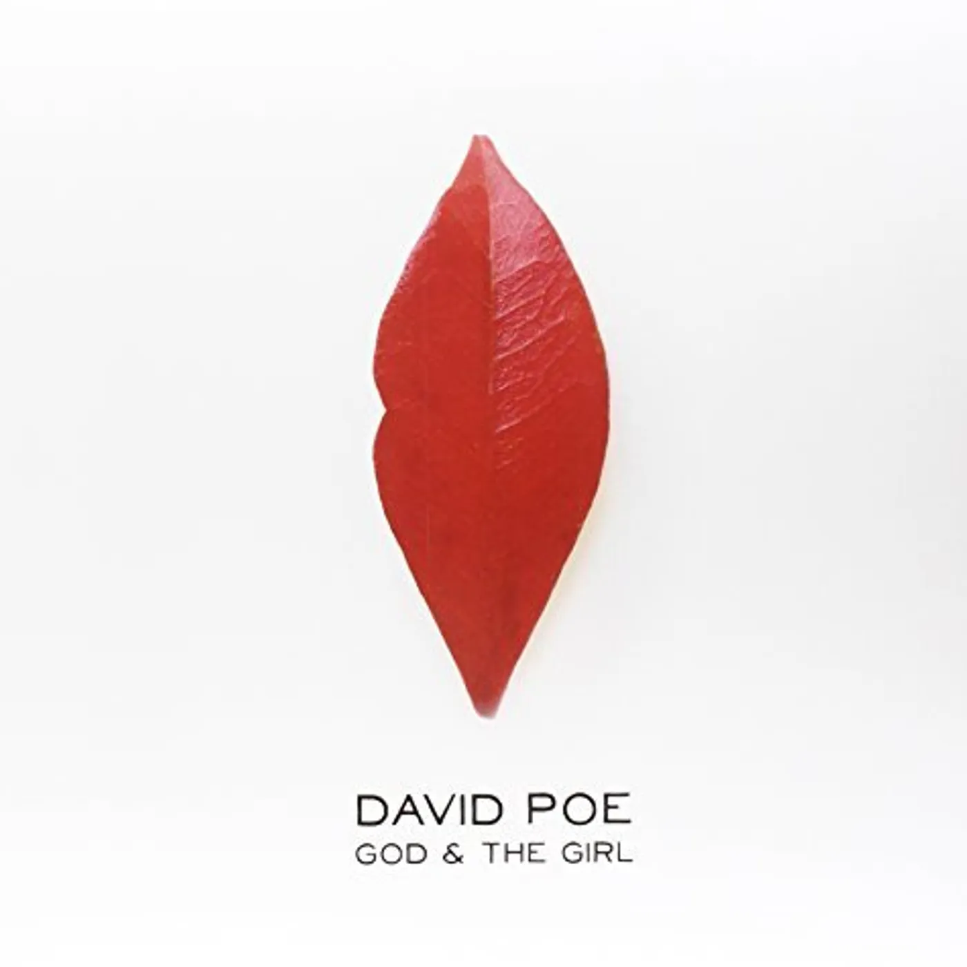 David Poe God & The Girl Vinyl Record